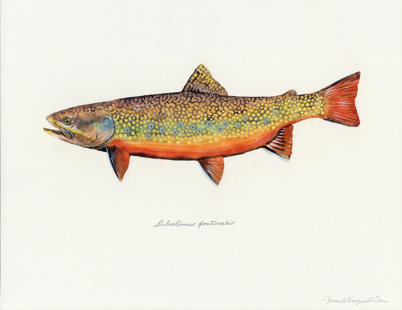 Meet Yusei Nagashima of The Fly Fisher