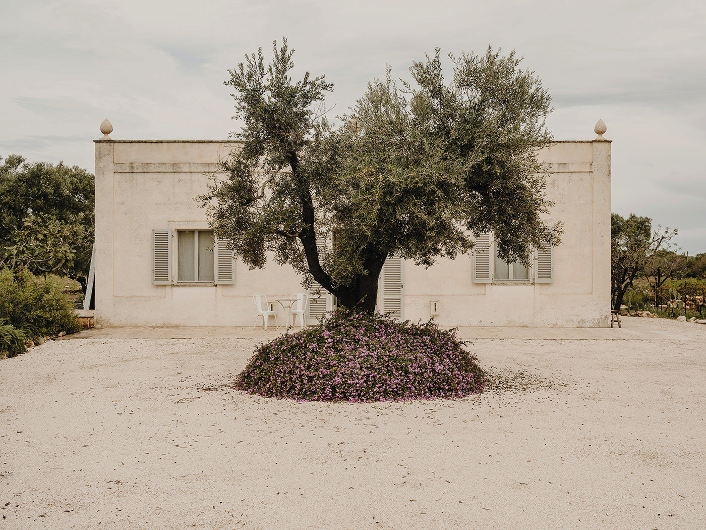 The art of Mediterranean Modernism through Andrew Trotter