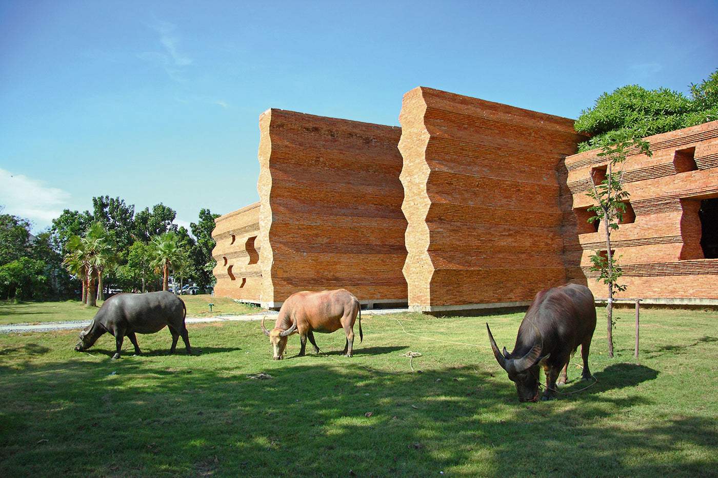 The Harmonizing Architecture of Thailand's Countryside