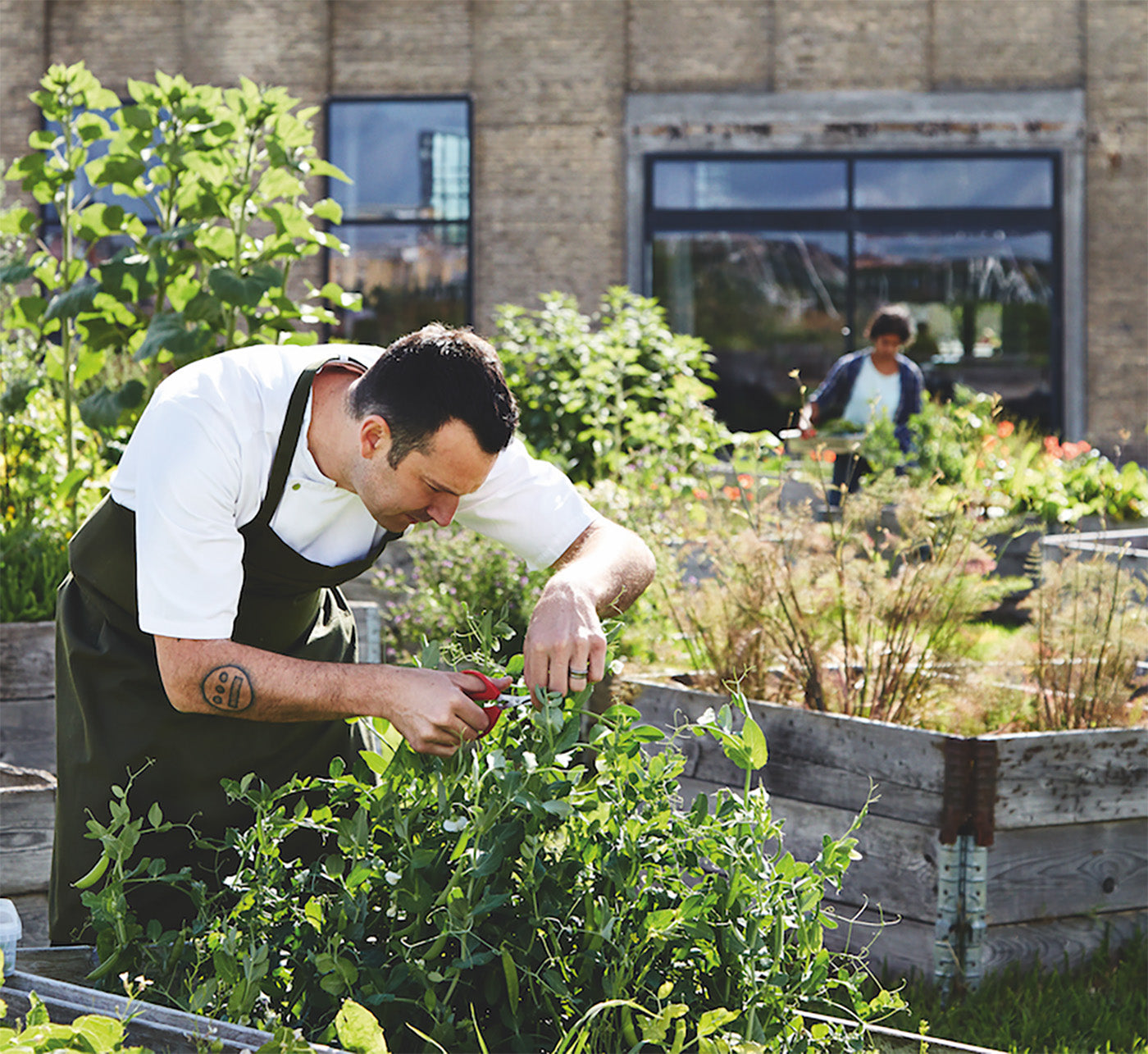 Cutting A Culinary Cardon Footprint With Matt Orlando