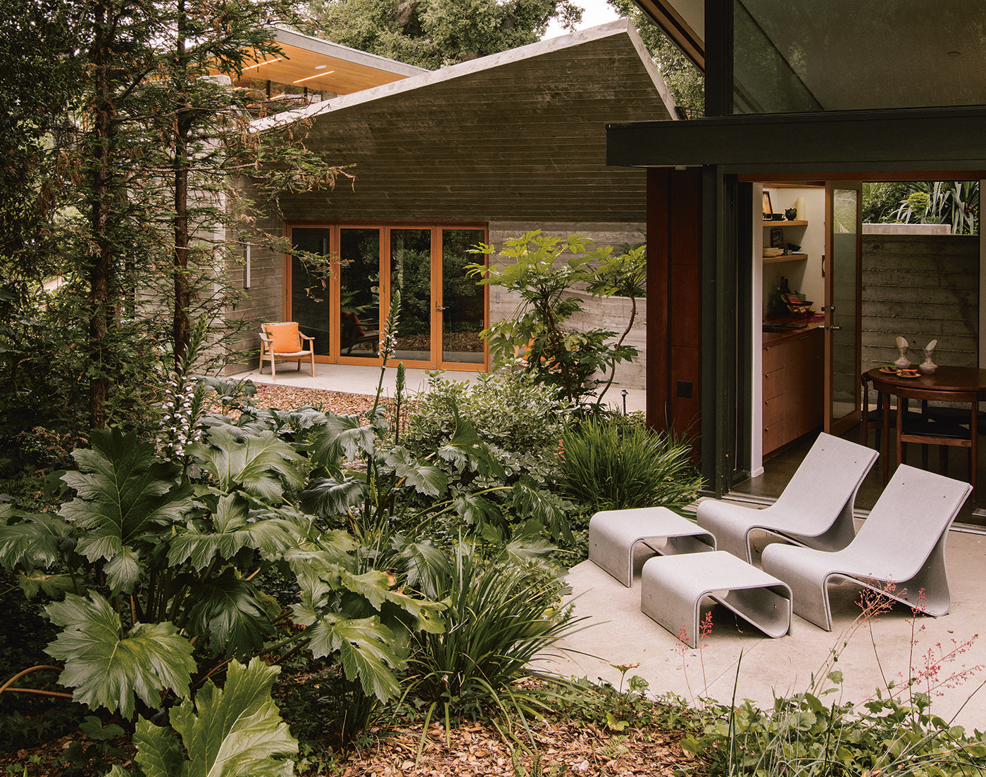 A Mid-Century Garden Finds Its Wild Roots