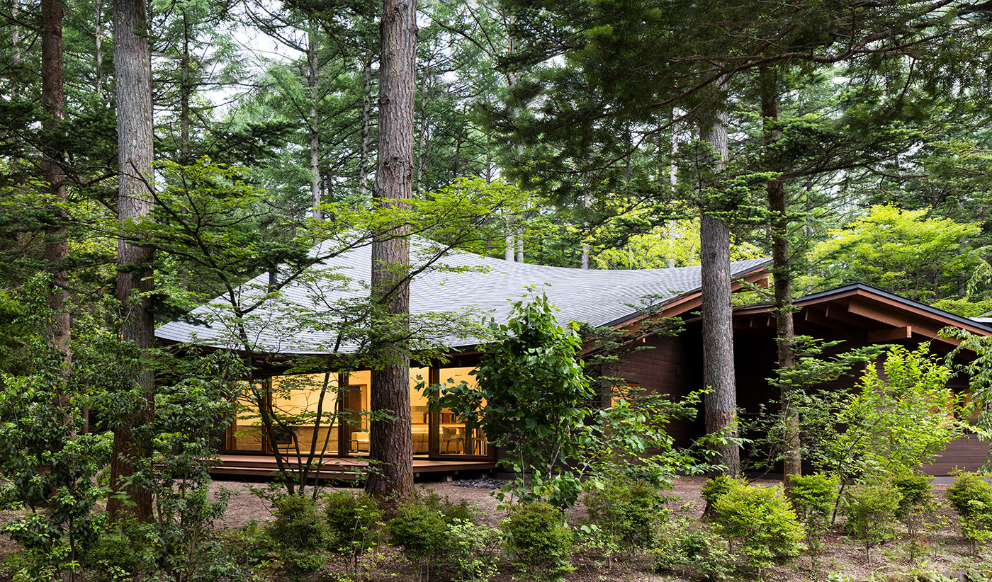 Wood Returns To Vogue in Japan