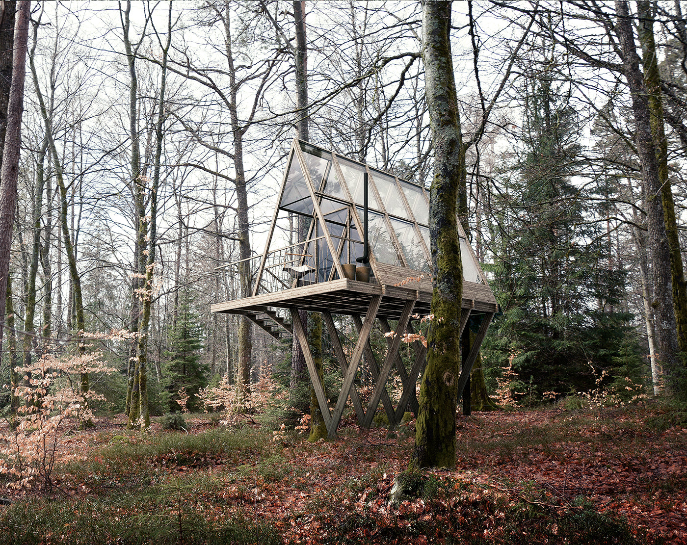 Finding Wellbeing in the Woods