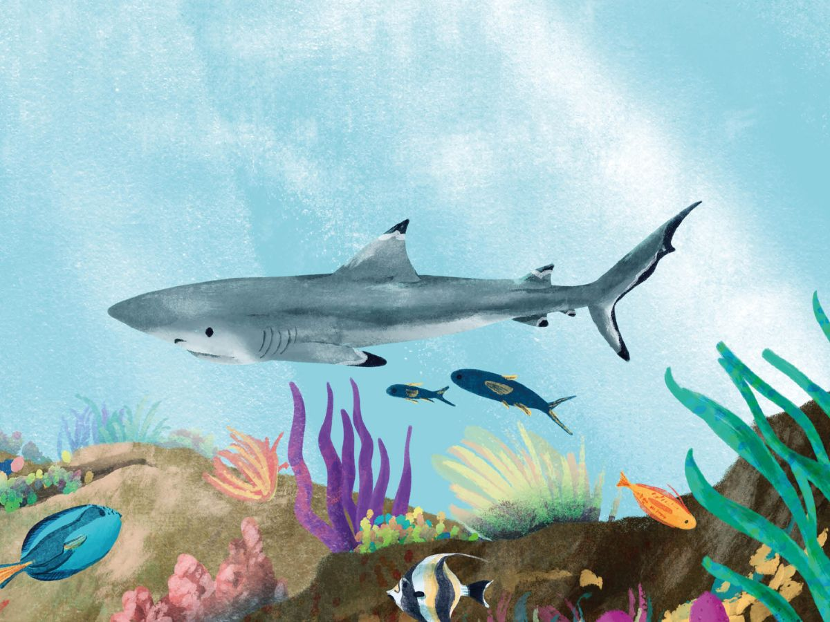 Little Gestalten Children's Book