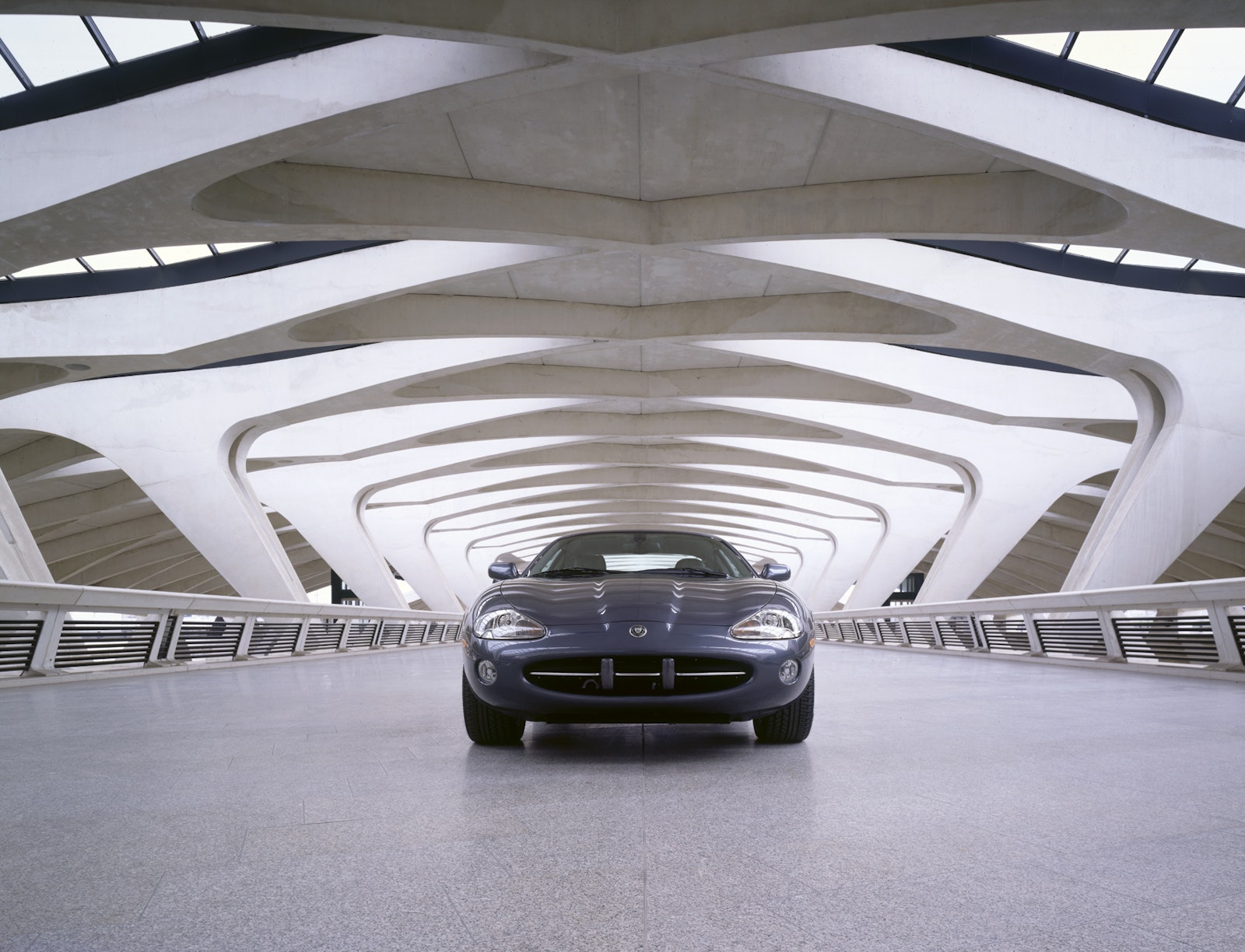 The Jaguar Book - Collector's Edition