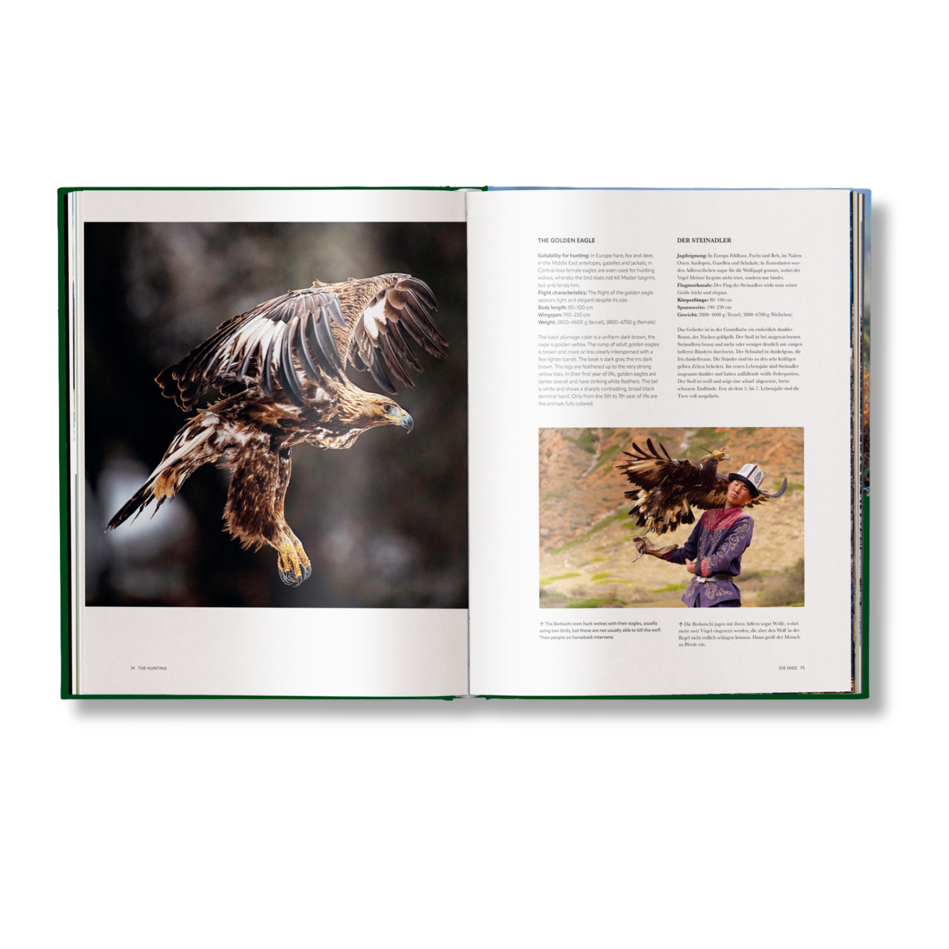 Hunting - The Ultimate Book