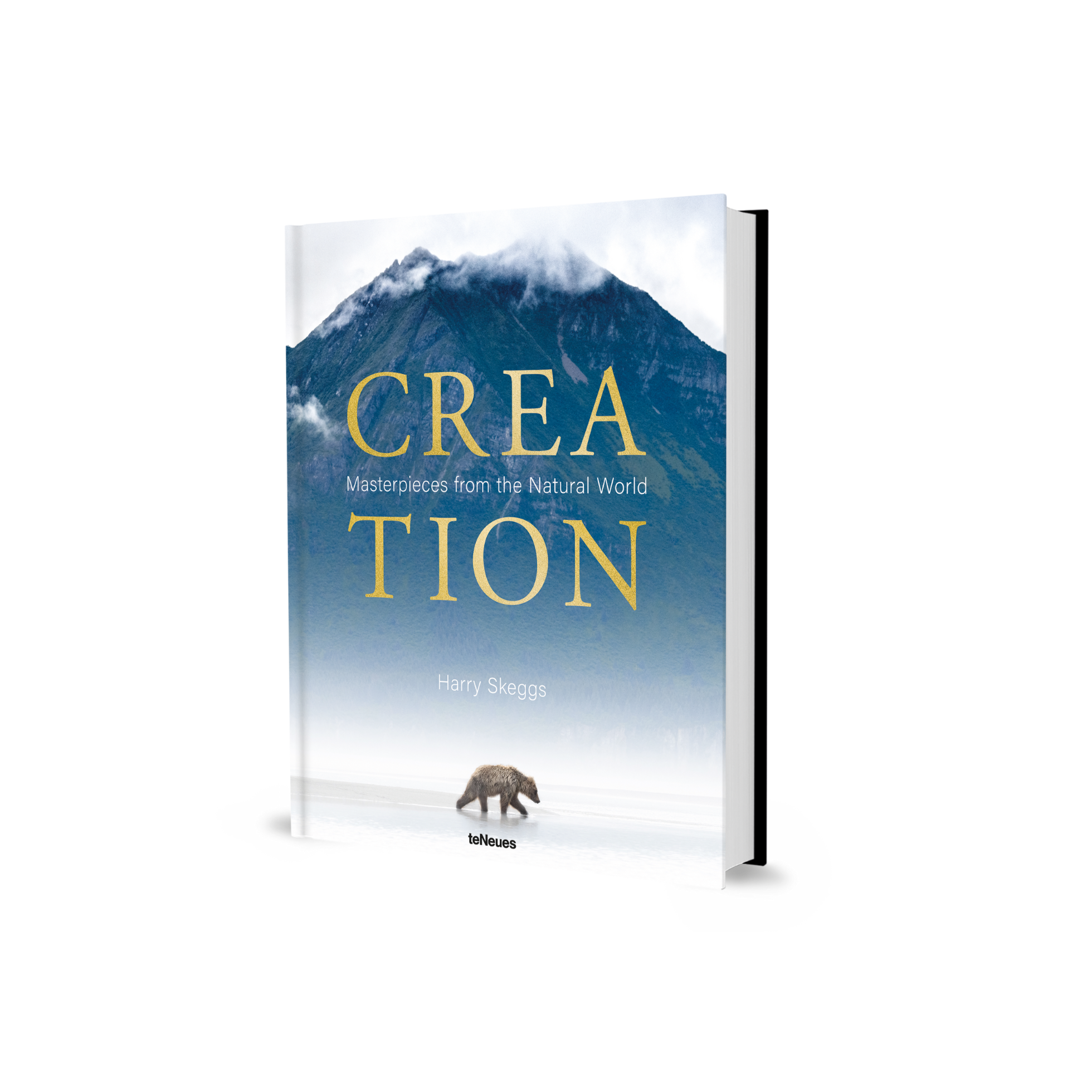 Book titled 'Creation' with a mountain and bear illustration on a white background