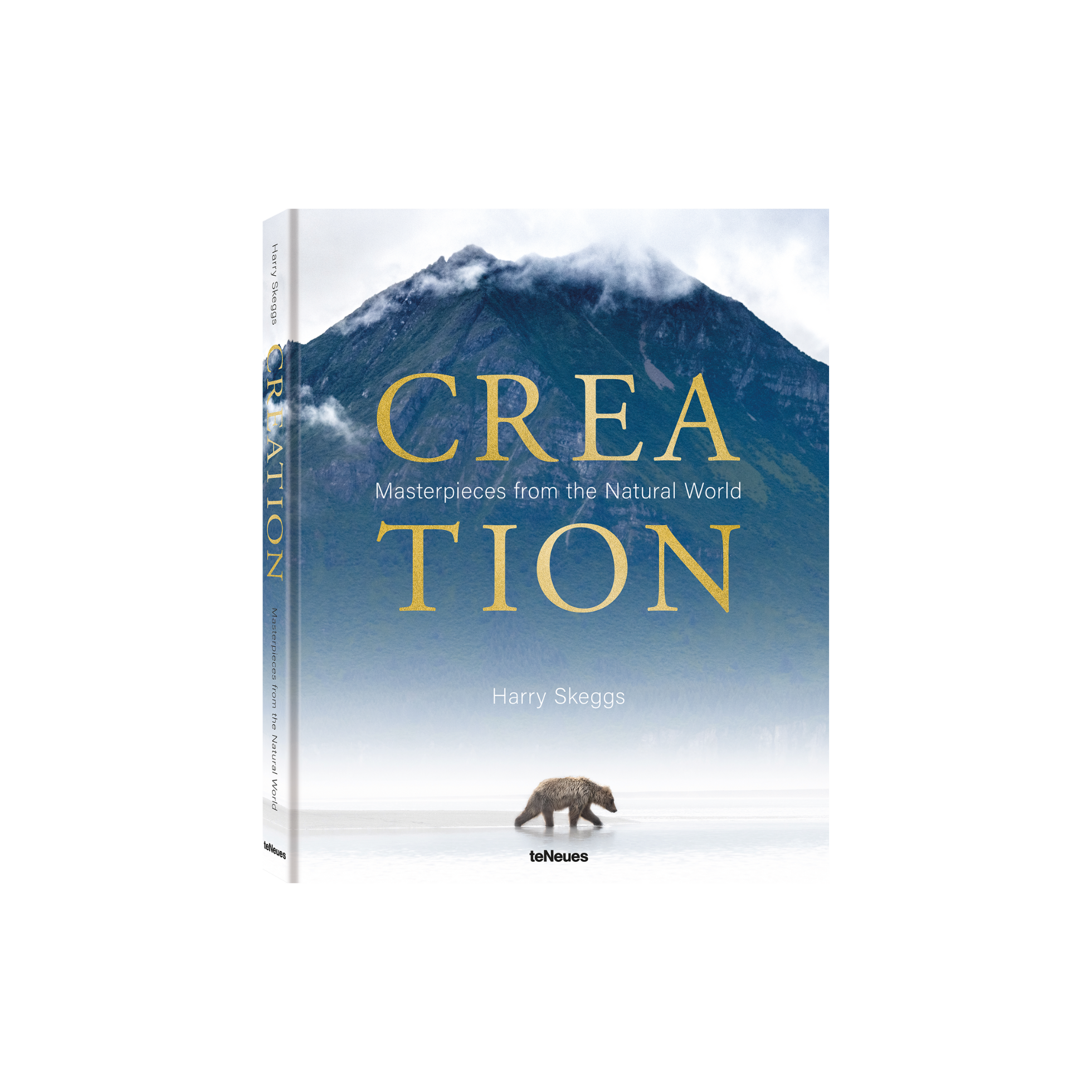 Book titled 'Creation' with a mountain and bear cover on a white background