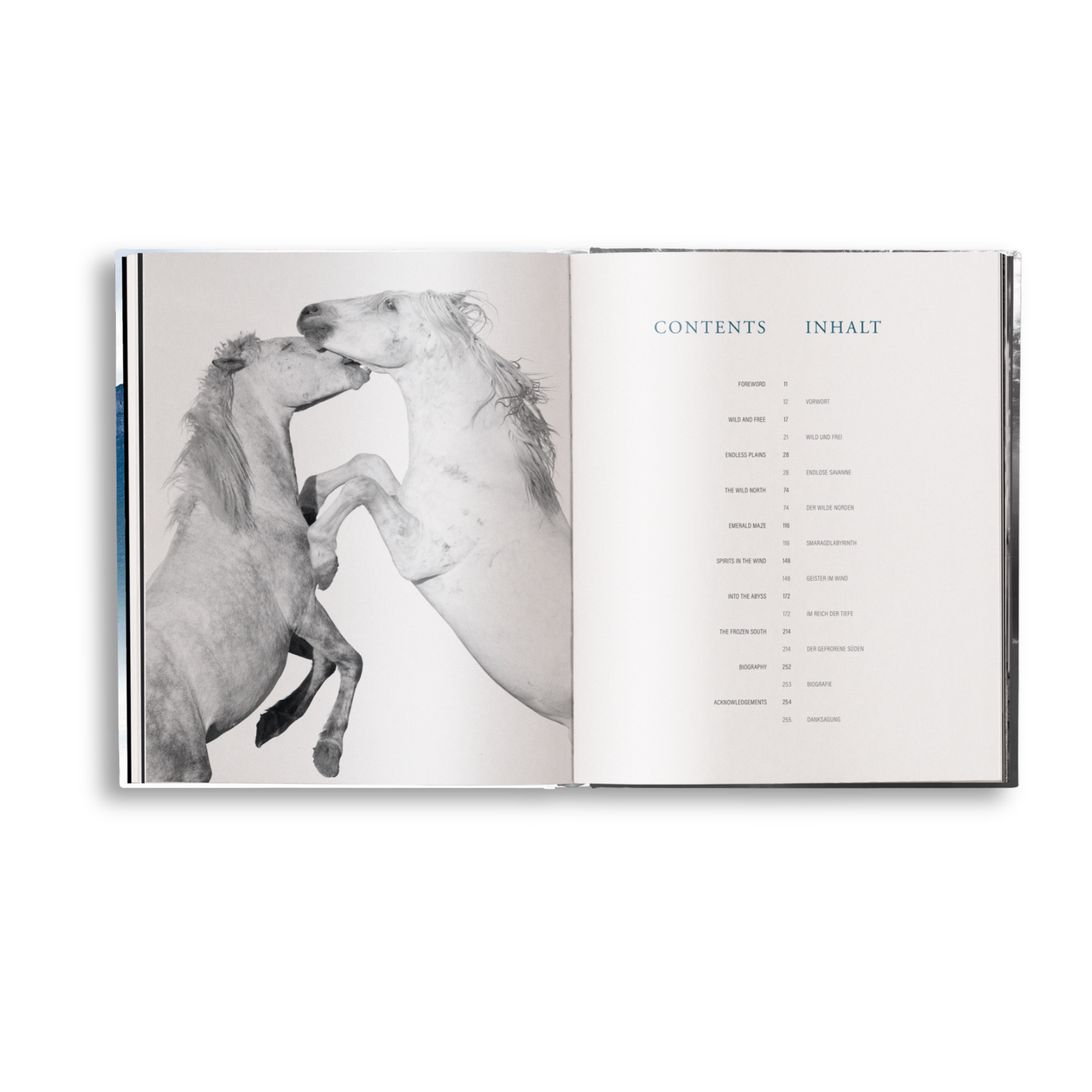 Open book showing a black and white photograph of two horses and a table of contents on a white background.