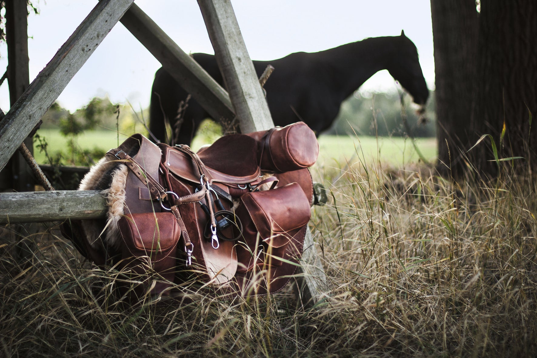 Equestrian - The Ultimate Book