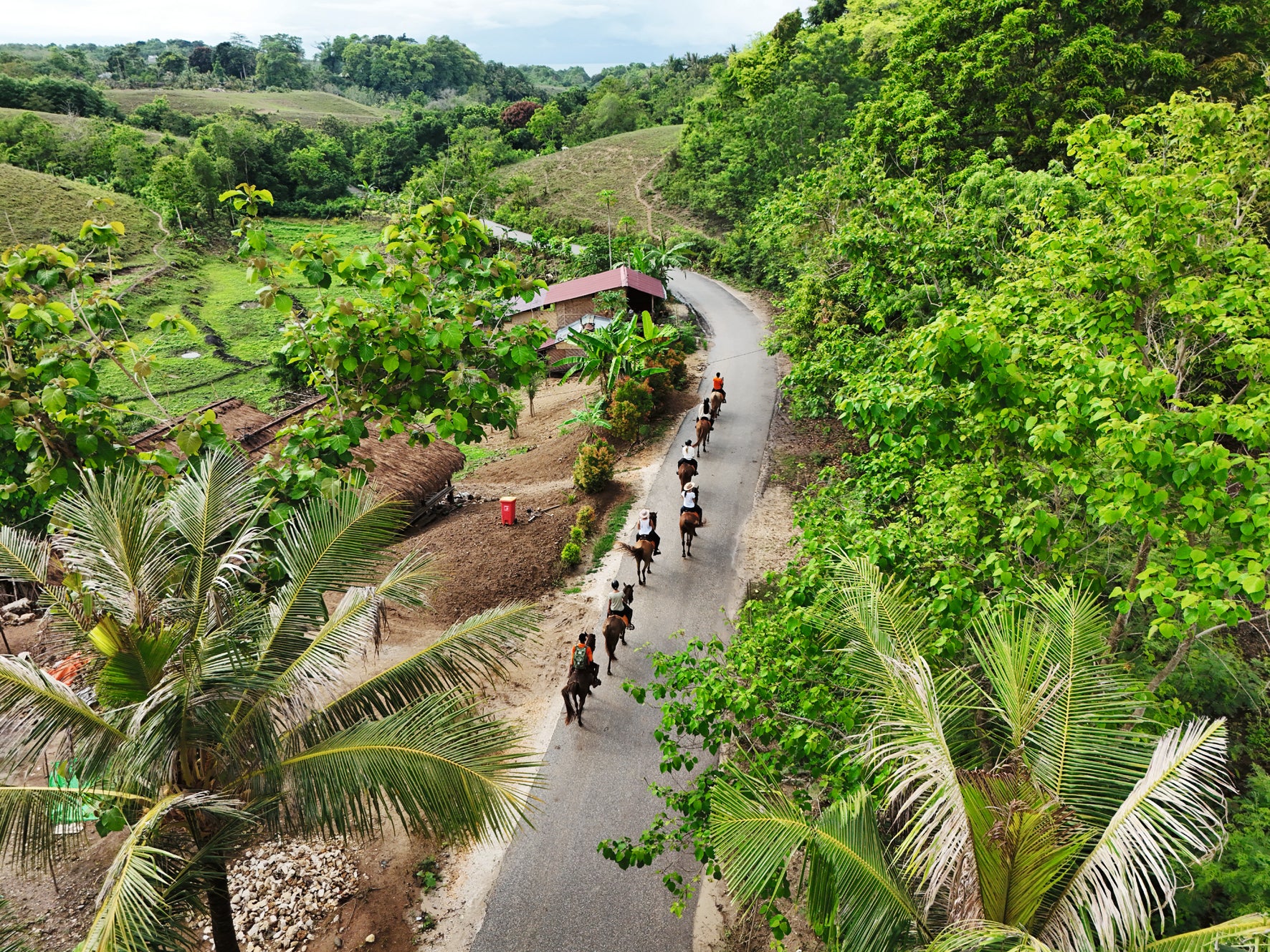 Equestrian - The Ultimate Book