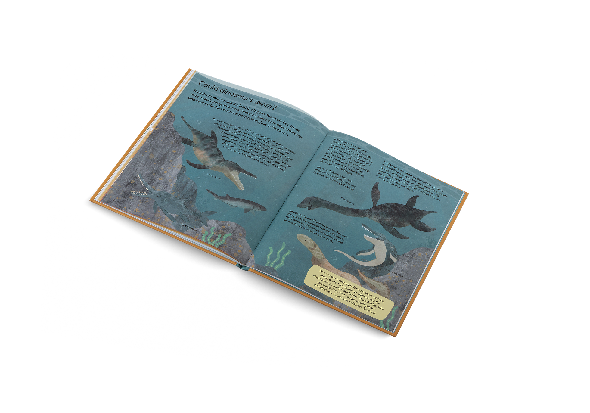 Ask Me About… Dinosaurs