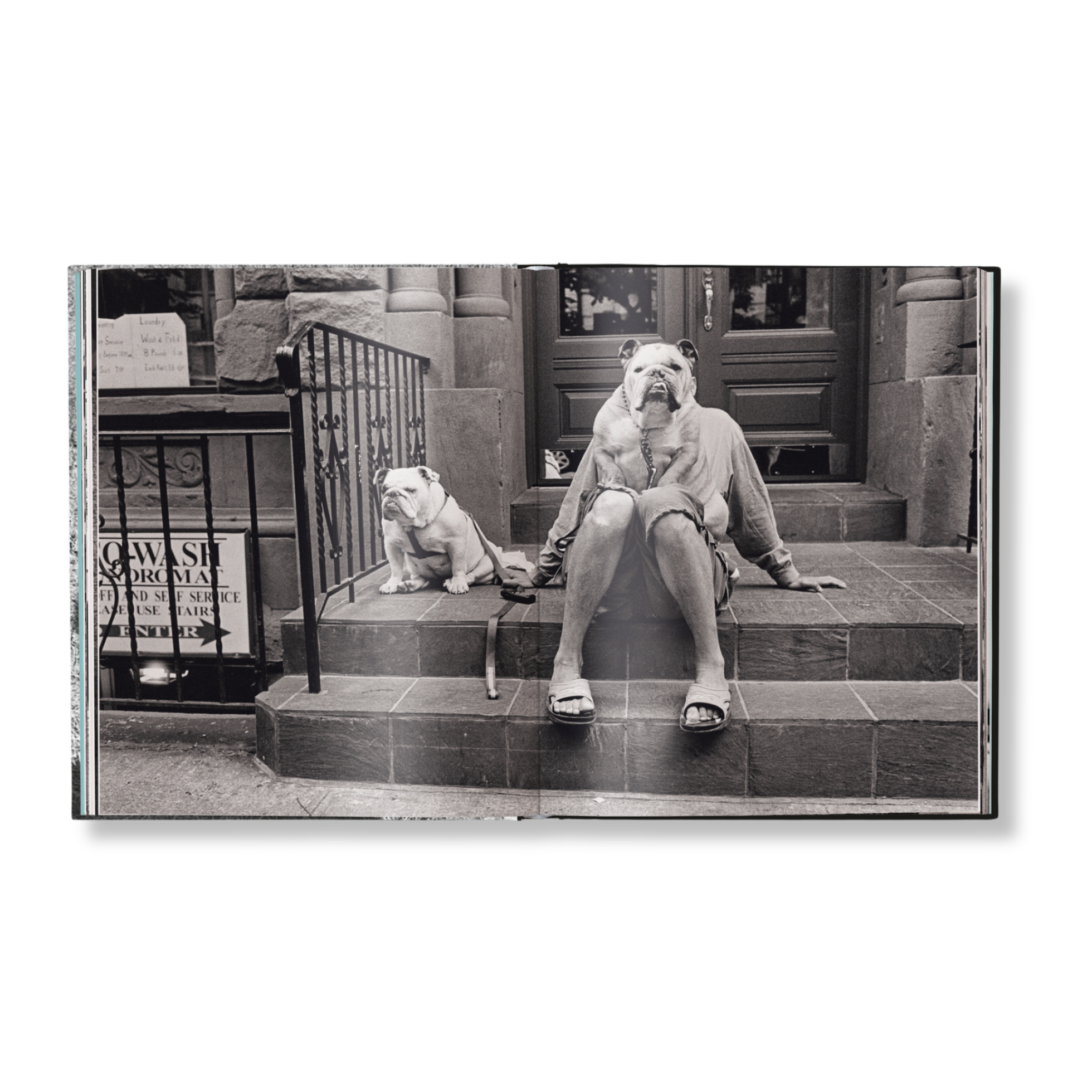 Elliott Erwitt: Last Laughs