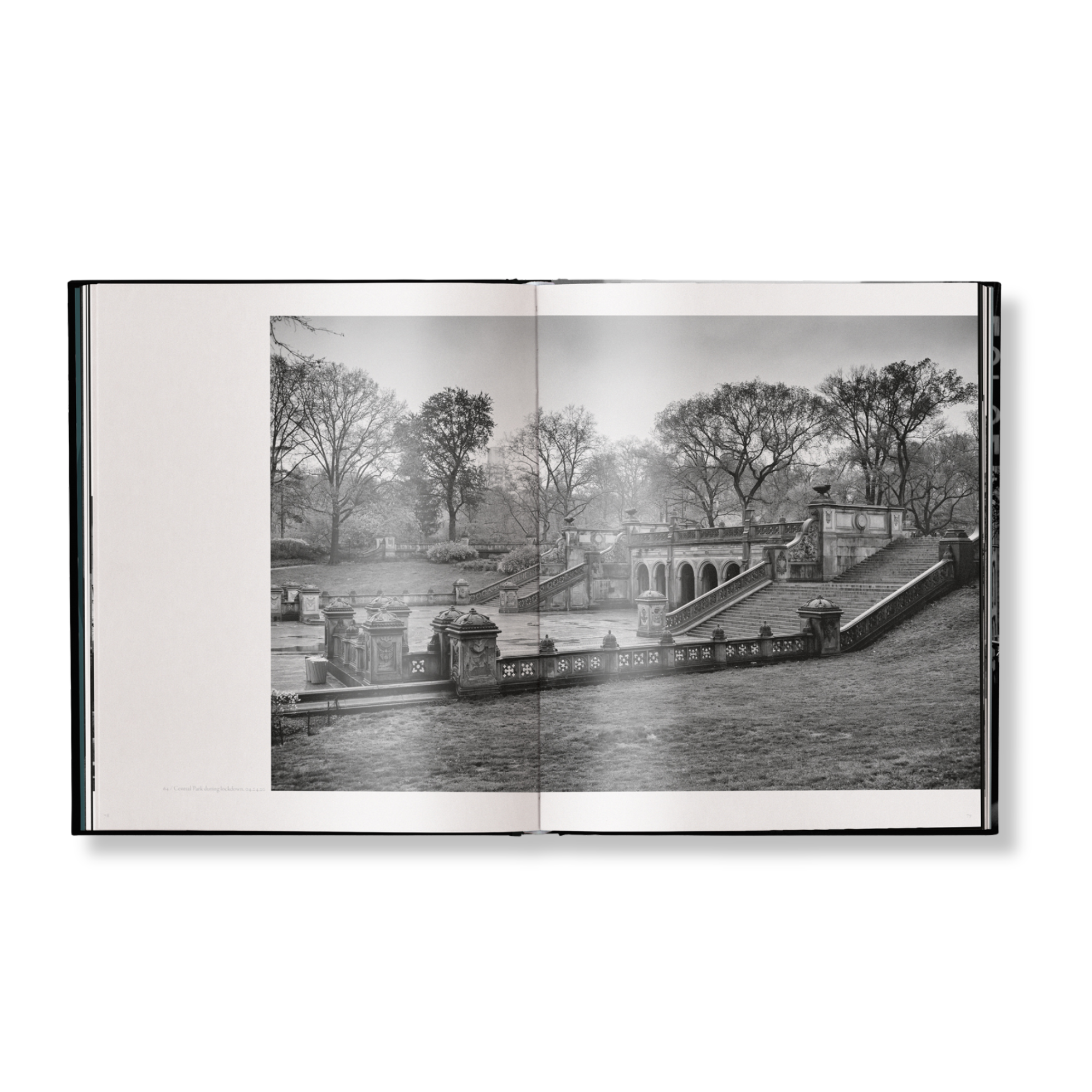 New York Street Diaries