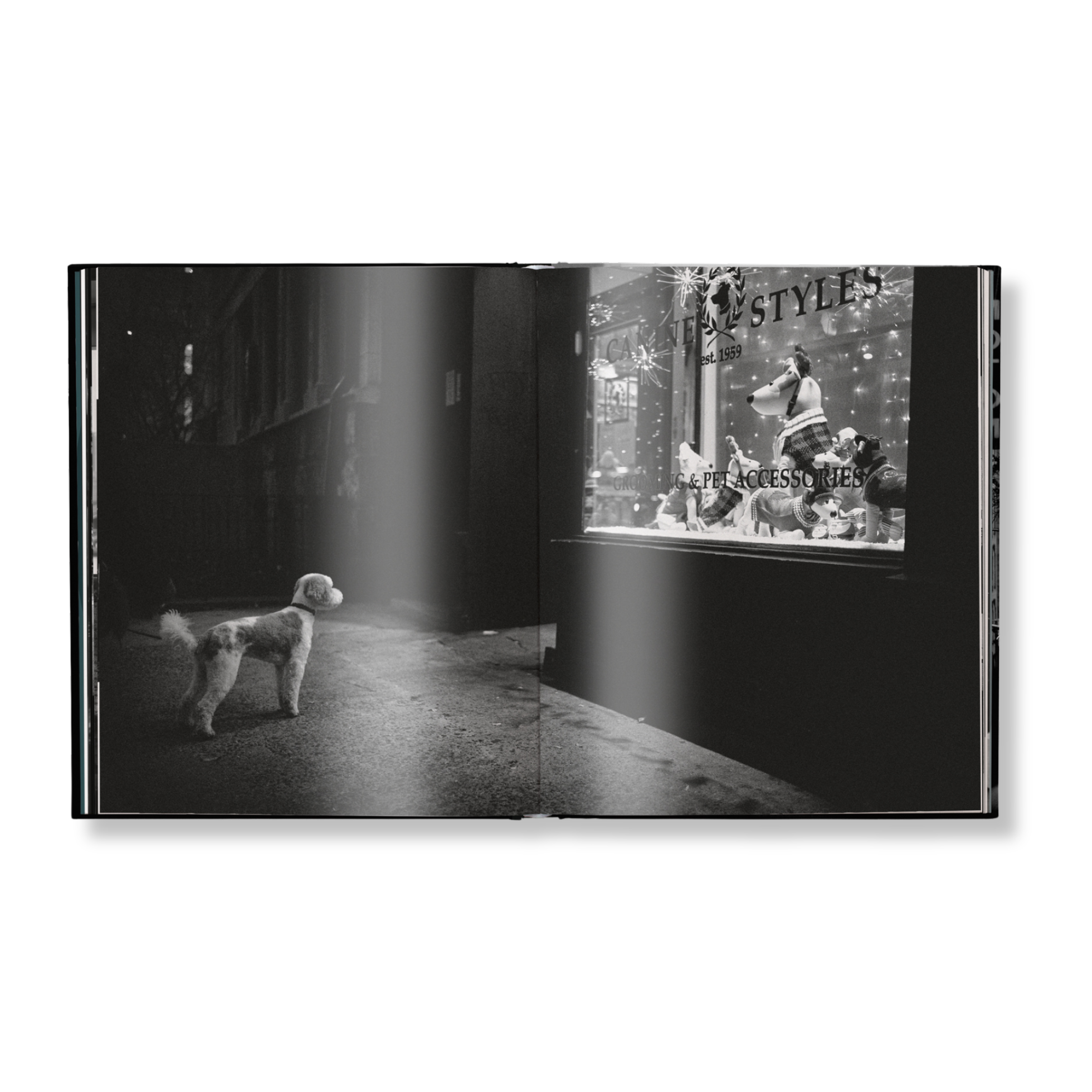 New York Street Diaries