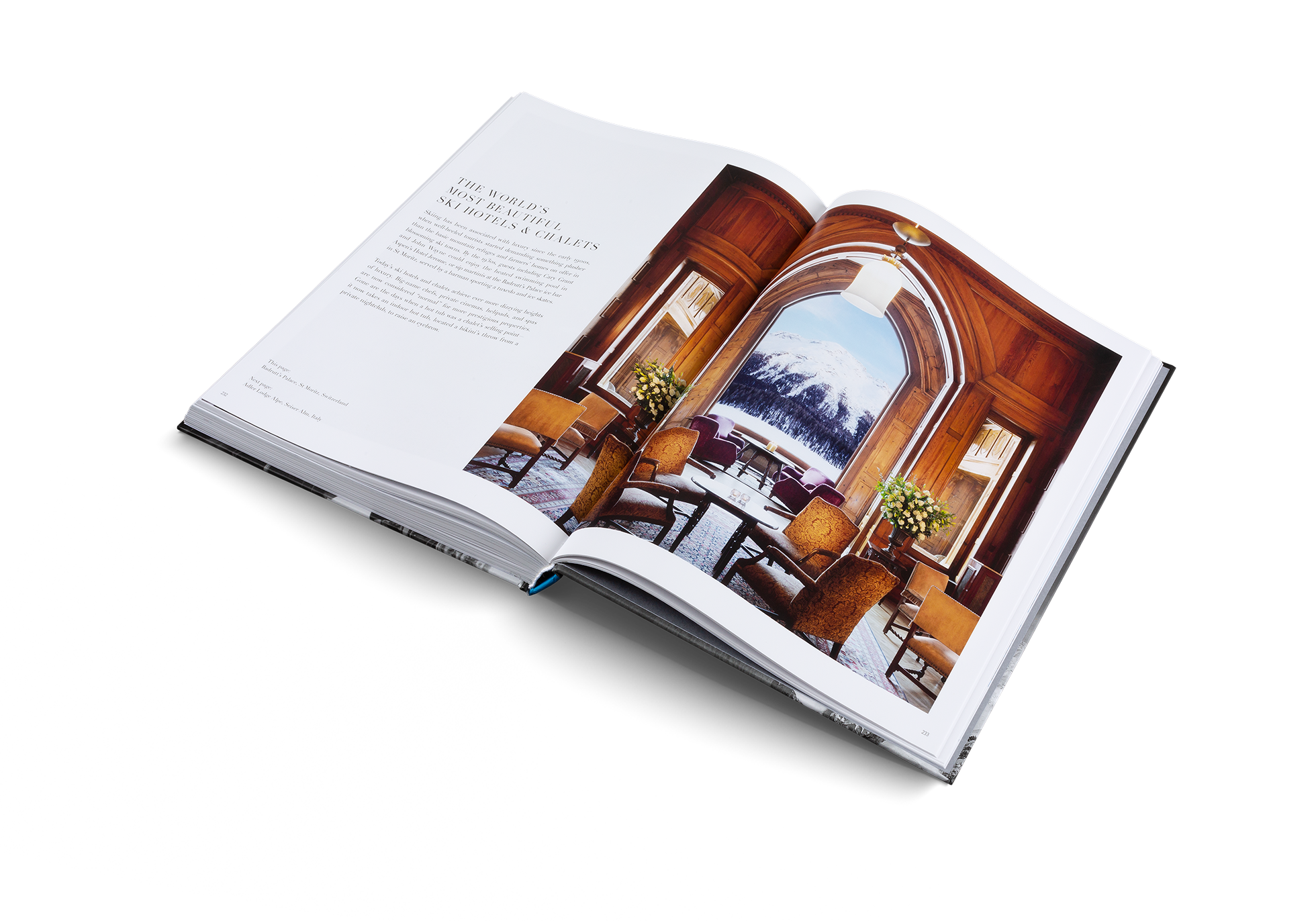 The Ultimate Ski Book (Revised Edition)