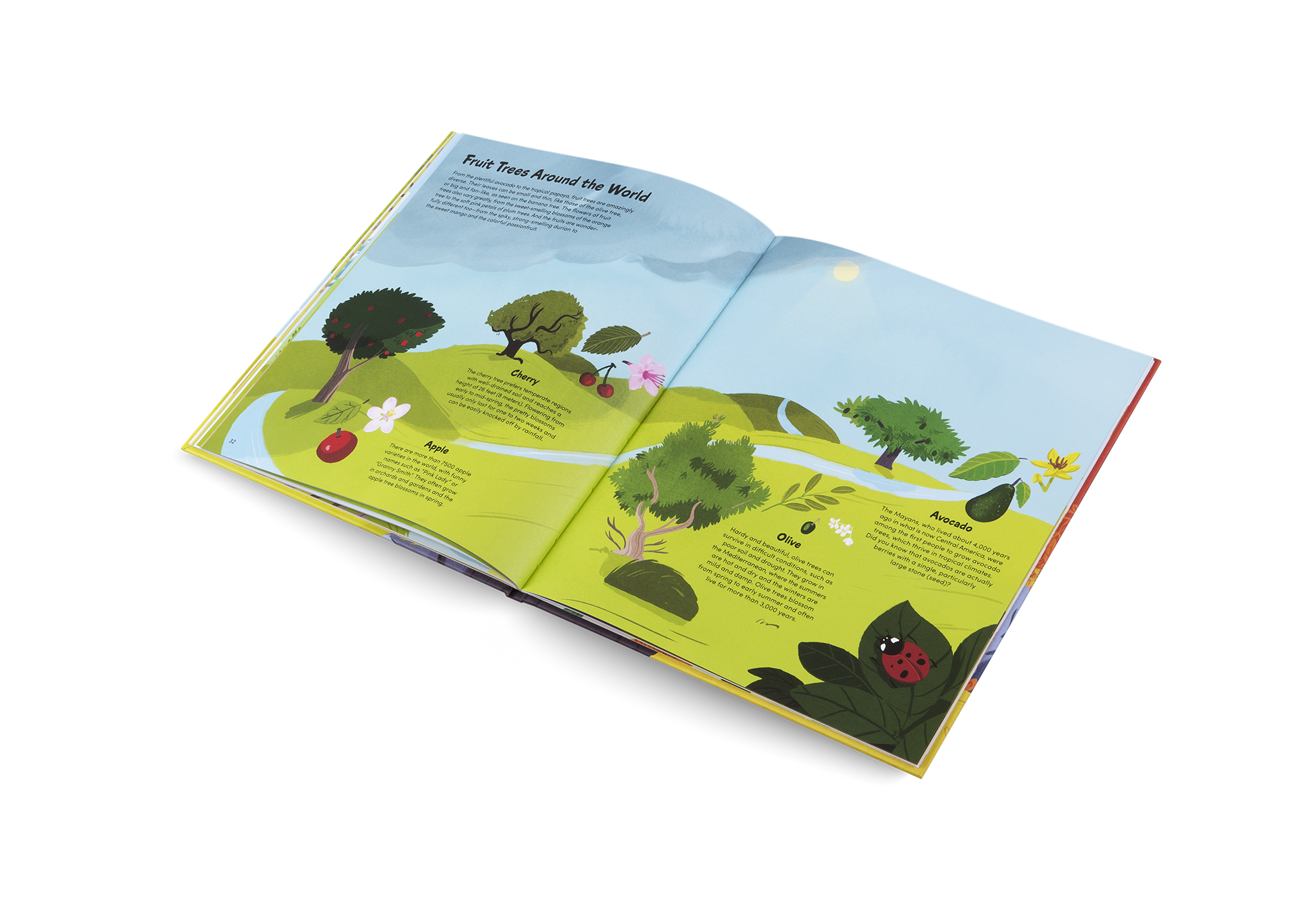 The Little Book of Trees