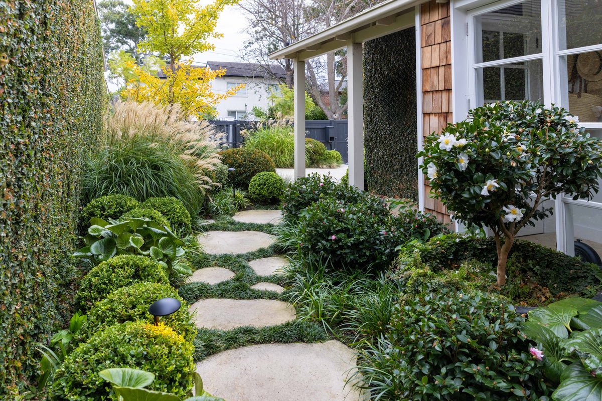 Cottagecore Gardens