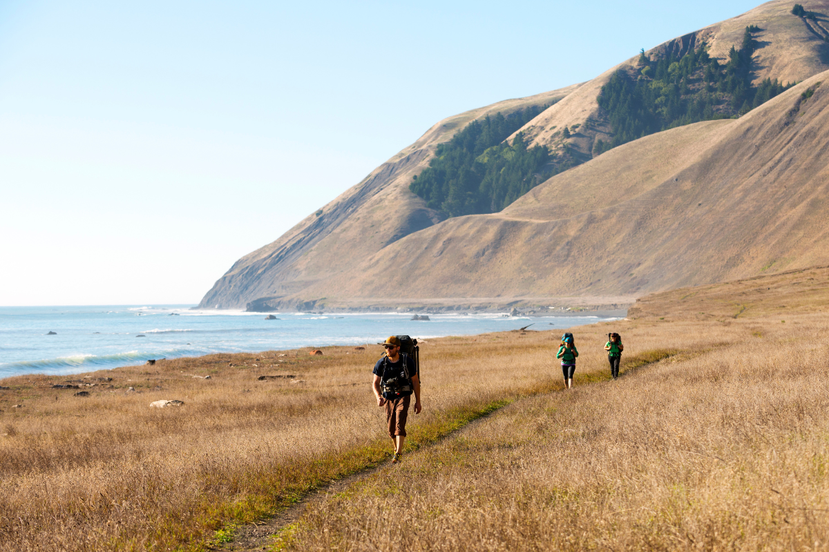 Wanderlust USA (Compact Edition)