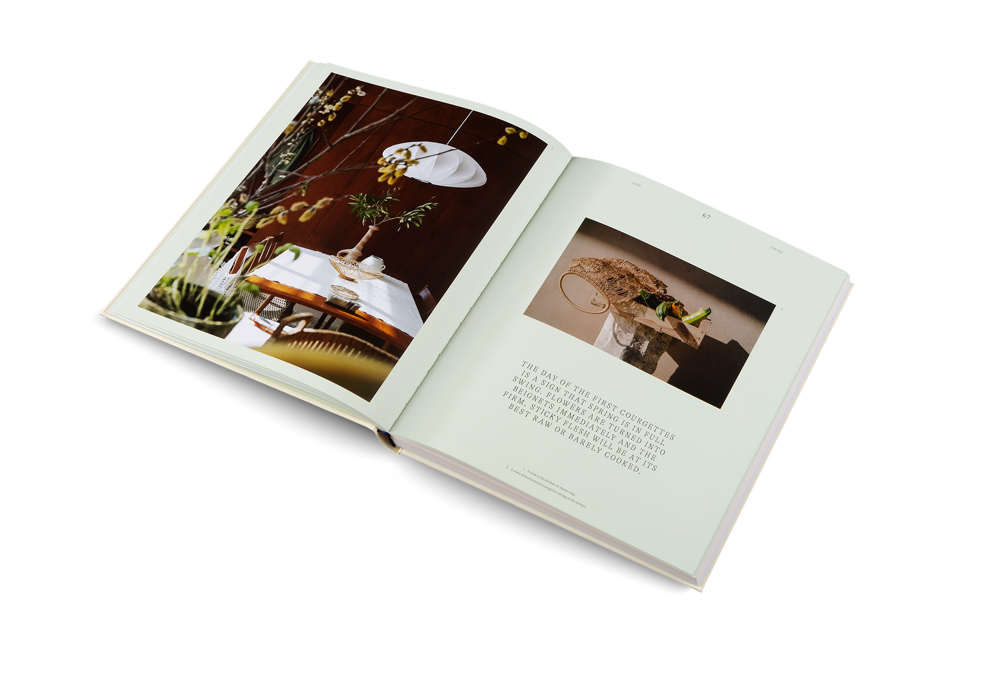 „The day of the first courgettes is a sign that Spring is in full swing. Flowers are turned into beignets immediately and the firm, sticky flesh will be at its best raw or barely cooked“, says Pauline Chardin in her cookbook A Spoonful of Sun, published by gestalten.