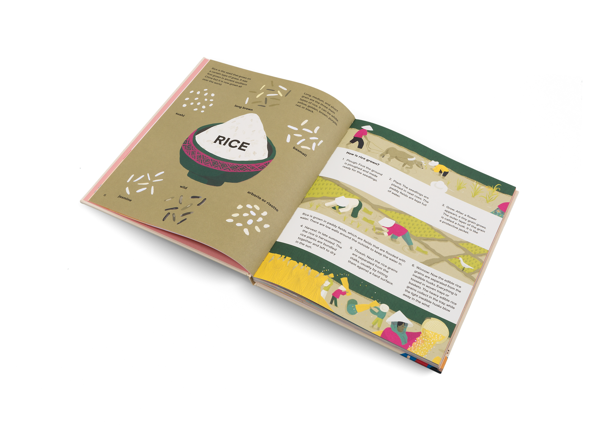 A Taste of the World