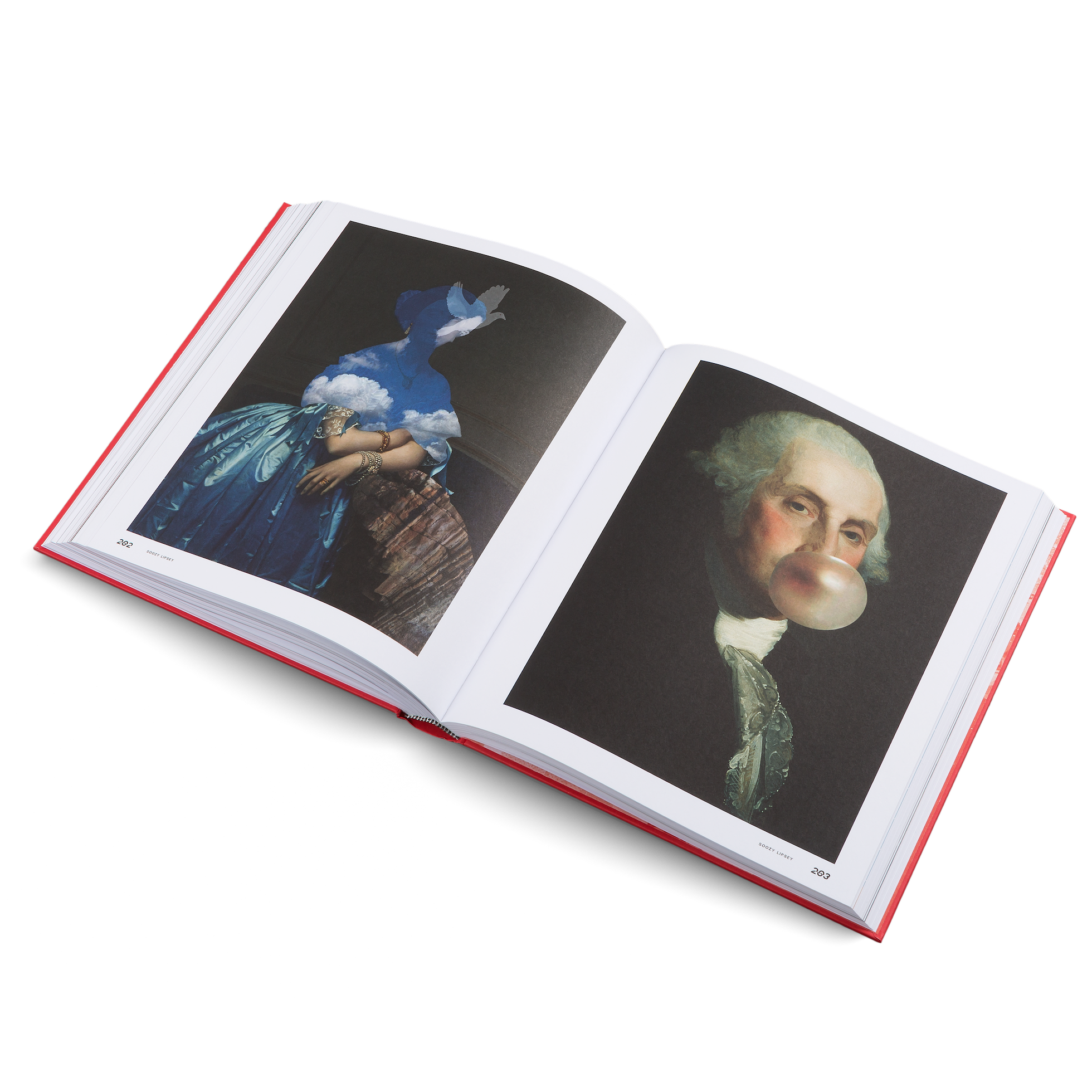 A collage by Soozy Lipsey in The Age of Collage 3 by gestalten Edit alt text