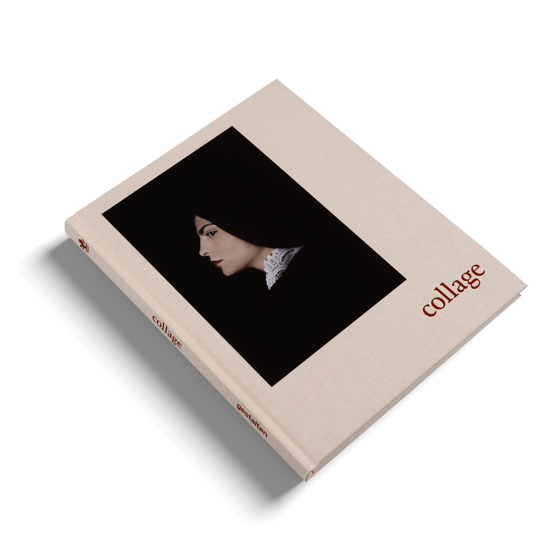 Meet the women of the Prix Pictet since 2008 in Collage published by gestalten.