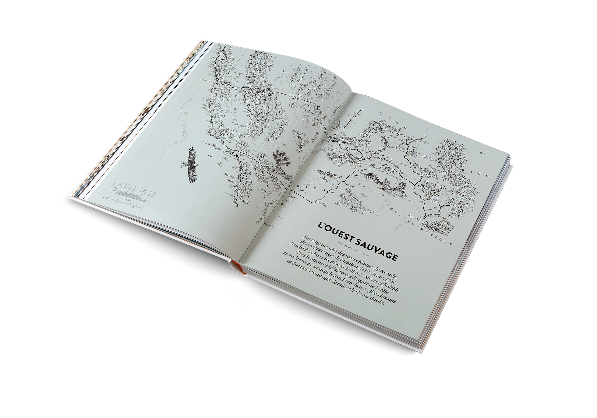 Martijn Doolaard a toujours rêvé des vastes plaines du Nevada, des roches rouges de l’Utah et de l’Arizona. L’été touche à sa fin et les déserts brûlants vont se rafraîchir. C’est le moment idéal pour s’éloigner de la côte et rouler vers l’est depuis San Francisco, en franchissant la Sierra Nevada afin de rallier le Grand Bassin.