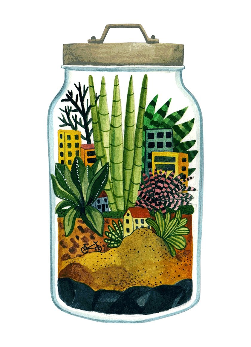 easy peasy how to make a terrarium