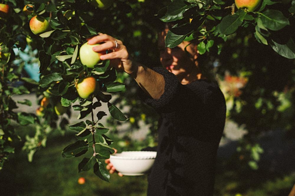 Farmlife gestalten book sustainability farm to table