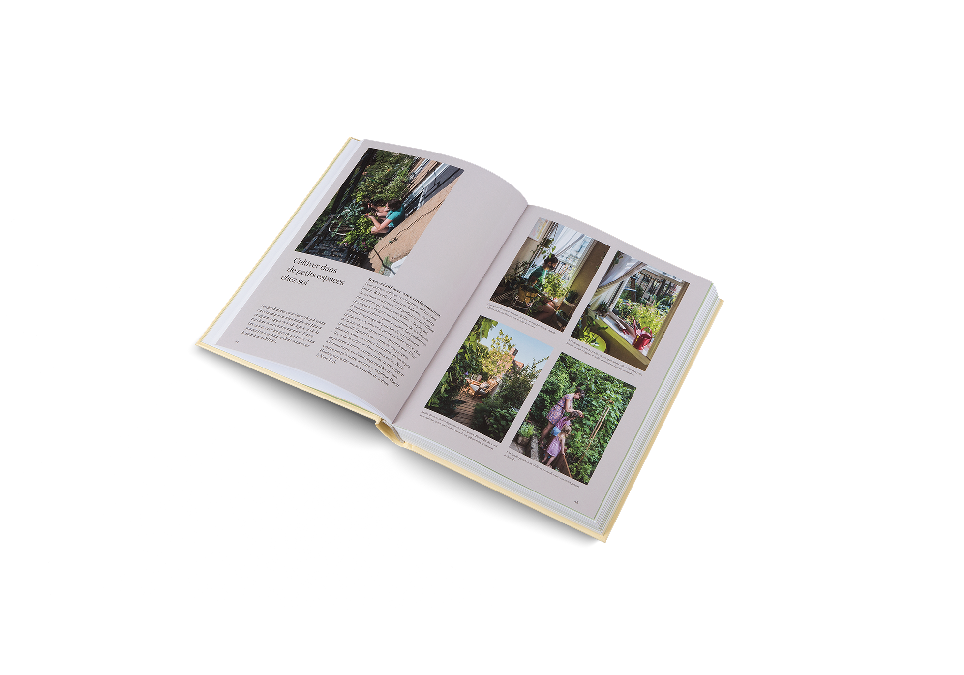 Découvrez comment cultiver dans de petits espaces chez soi avec Fermiers urbains.