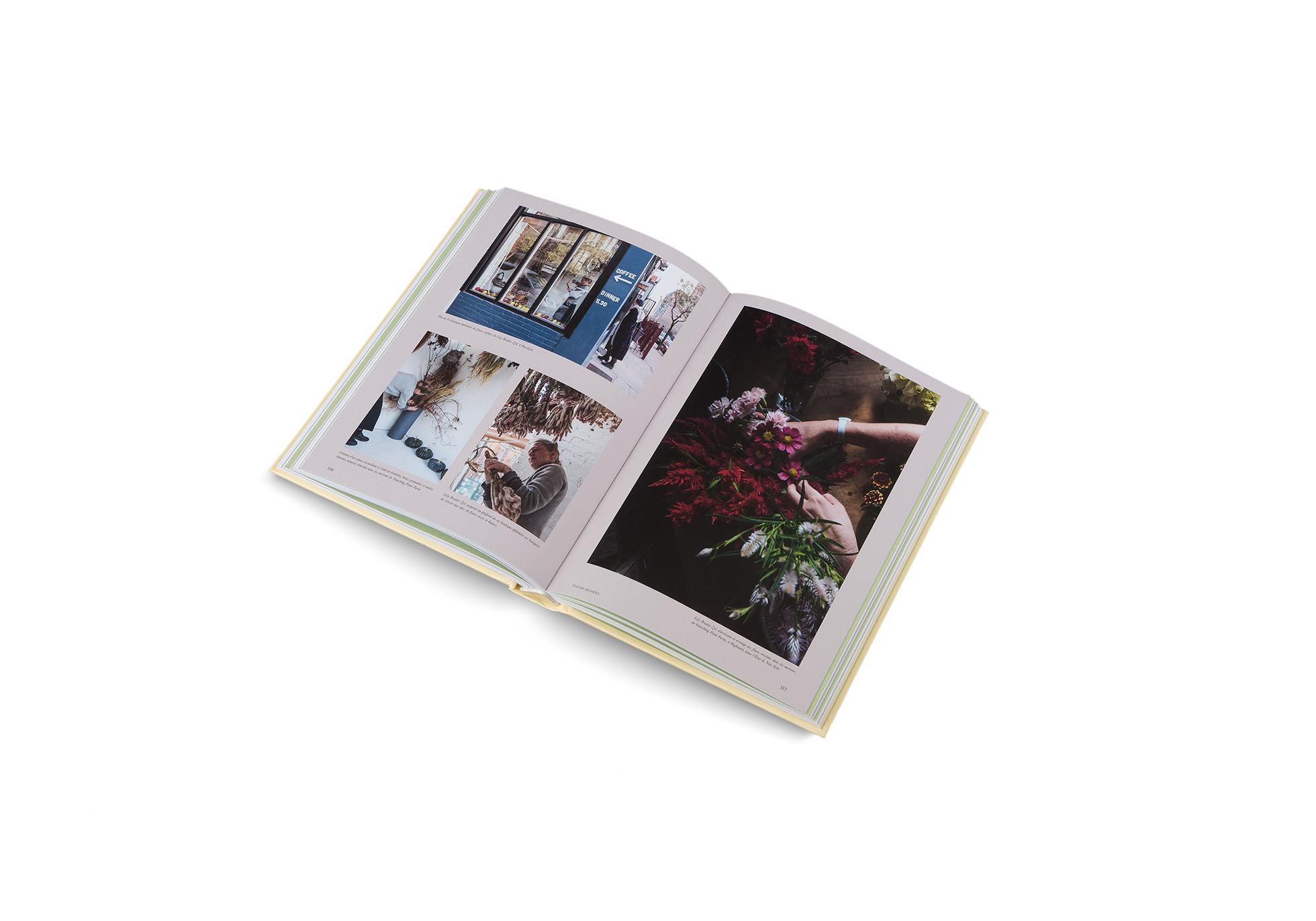 Faire sécher des fleurs est une activité simple, source de beauté et de plaisir, qui permet d’intégrer des éléments naturels dans un intérieur. Apprenez à faire sécher vos fleurs avec Fermiers urbains.