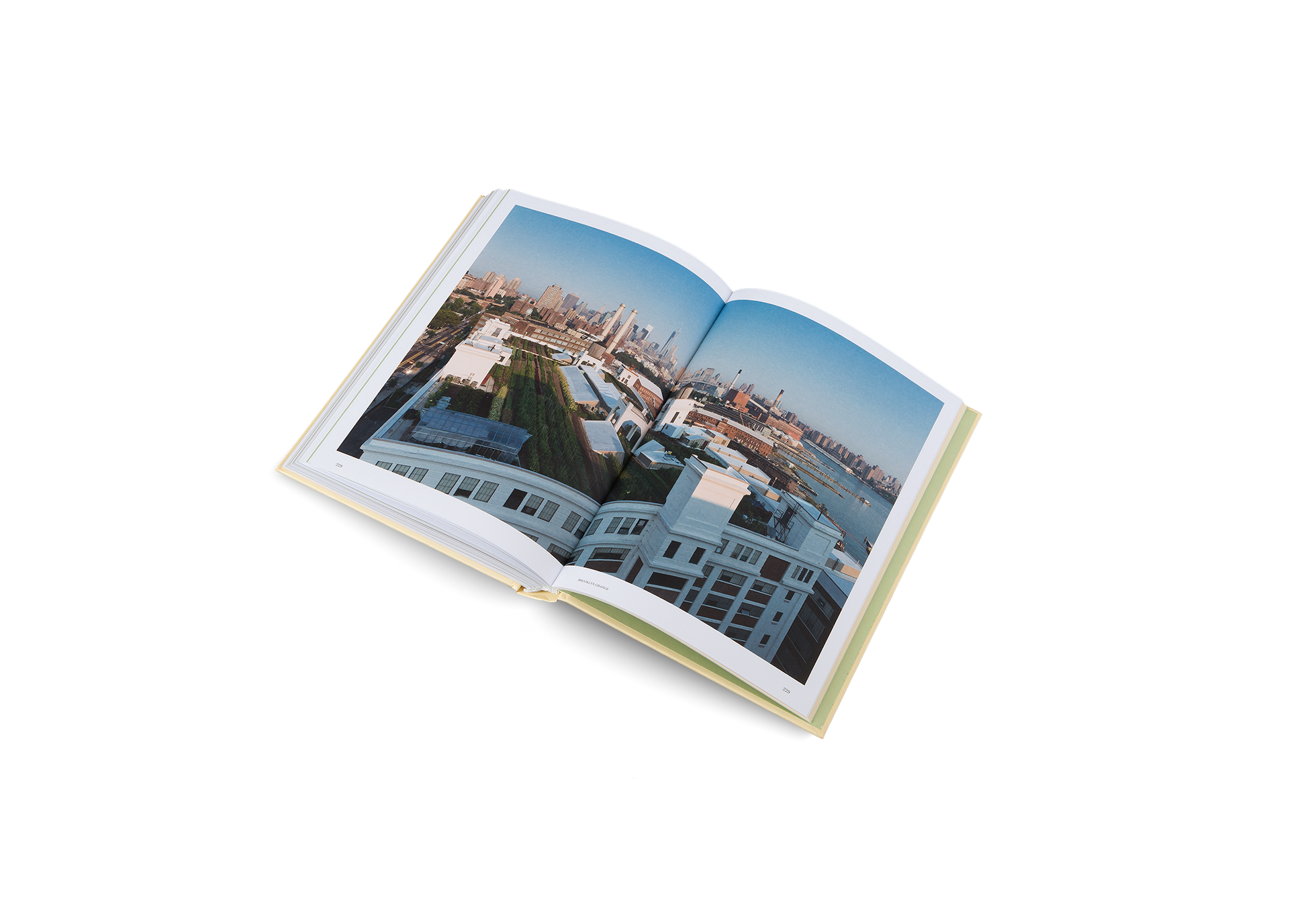 Avec trois sites au sommet d’immeubles industriels de New York, Brooklyn Grange a créé un modèle révolutionnaire d’agriculture urbaine sur les toits. Découvrez cette ferme urbaine pionnière d'un nouveau modèle agricole.