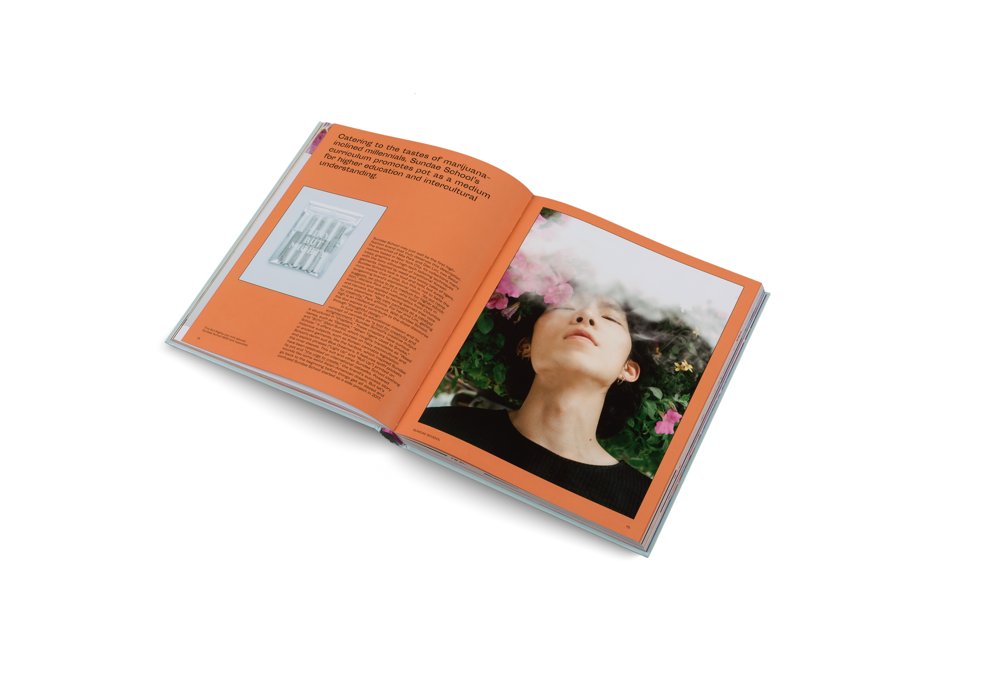 Catering to the tastes of marijuana- inclined millennials, Sundae School’s curriculum promotes pot as a medium for higher education and intercultural understanding in High on Design