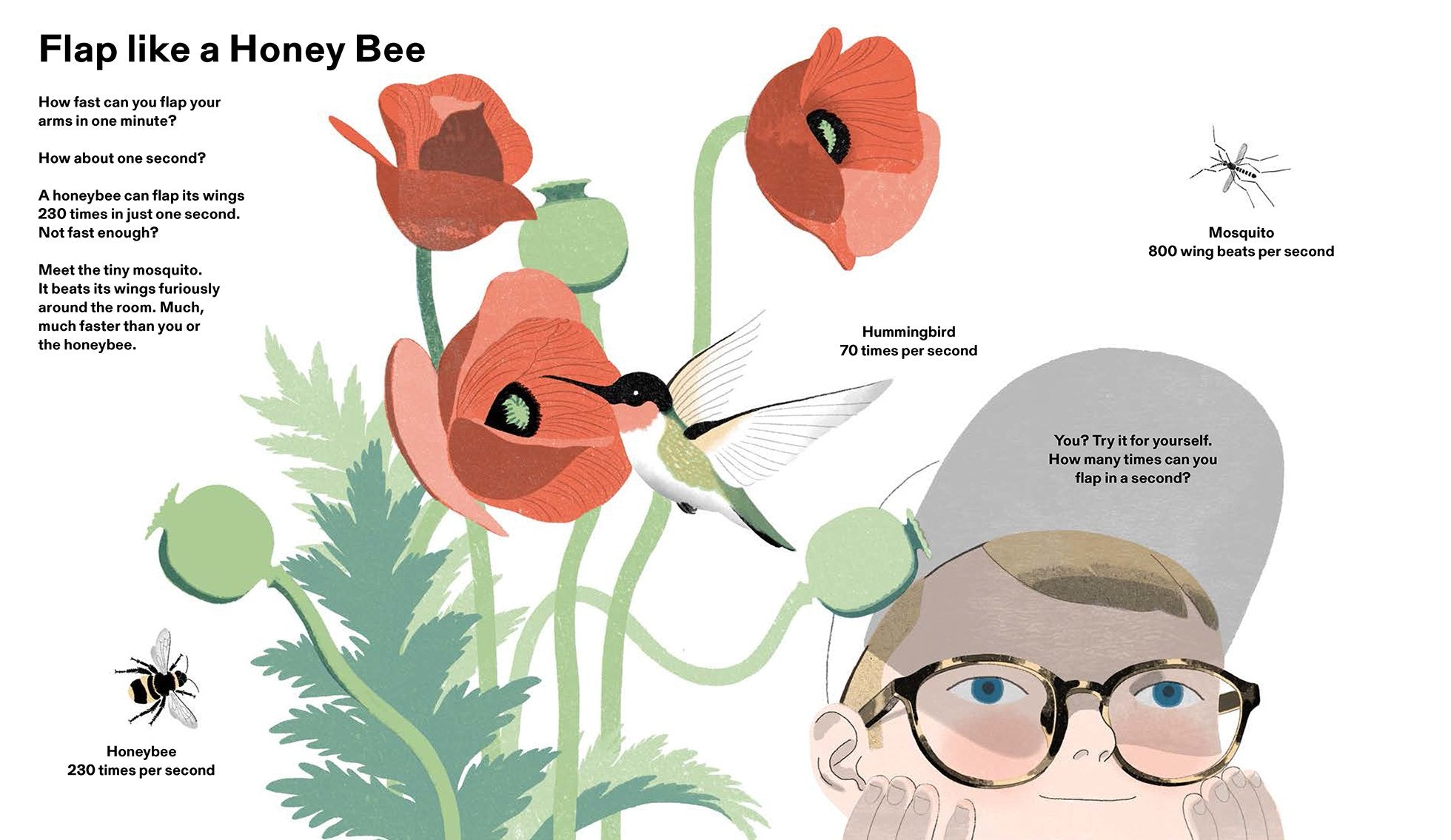 How Big Is Big? How Far Is Far? All Around Me Imperial Little Gestalten Children's Book Picture Book Non-Fiction Illustrations Jun Cen Insight