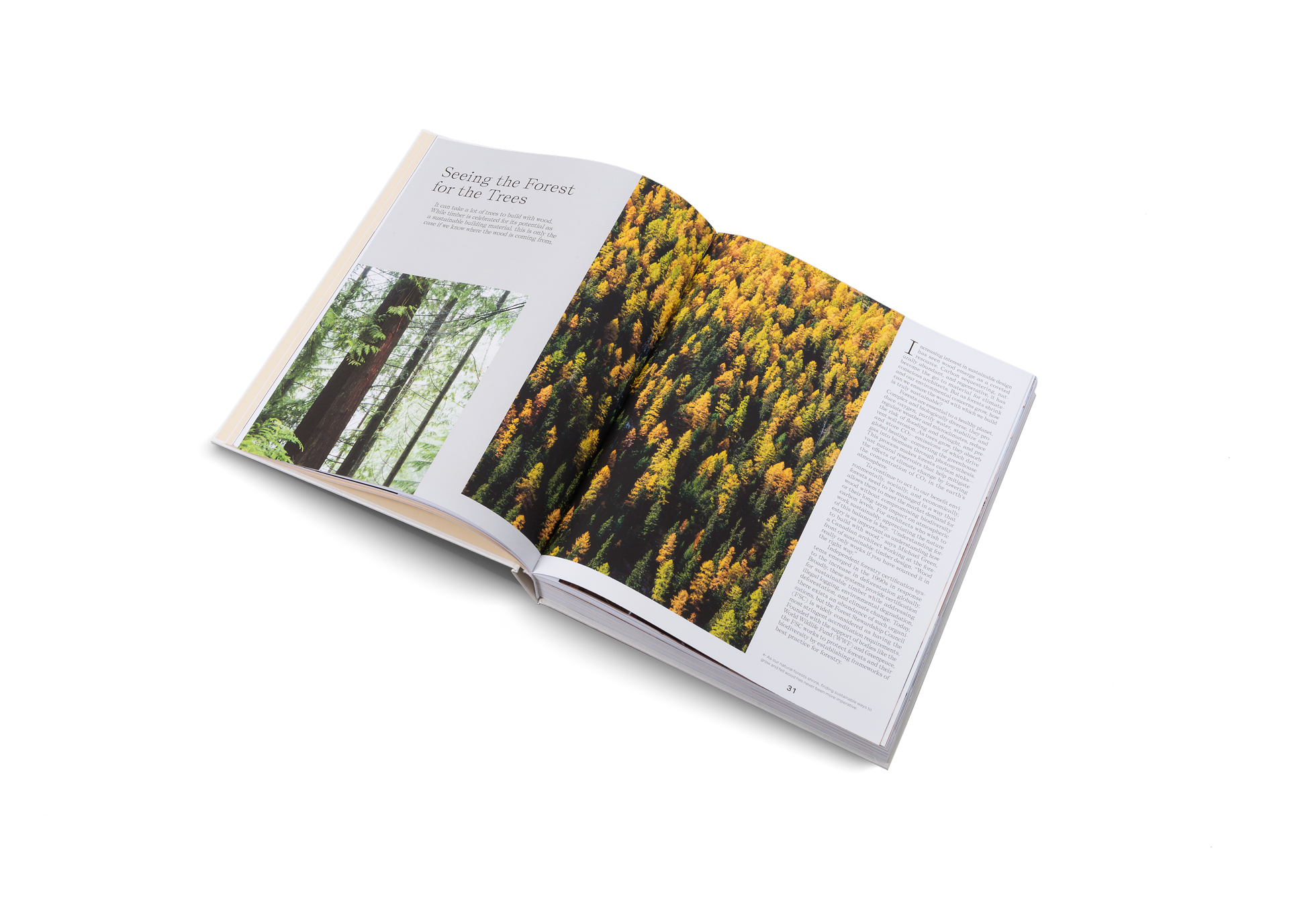 It can take a lot of trees to build with wood. While timber is celebrated for its potential as a sustainable building material, this is only the case if we know where the wood is coming from. Seeing the forest for the trees is an essay featured in Out of the Woods by gestalten