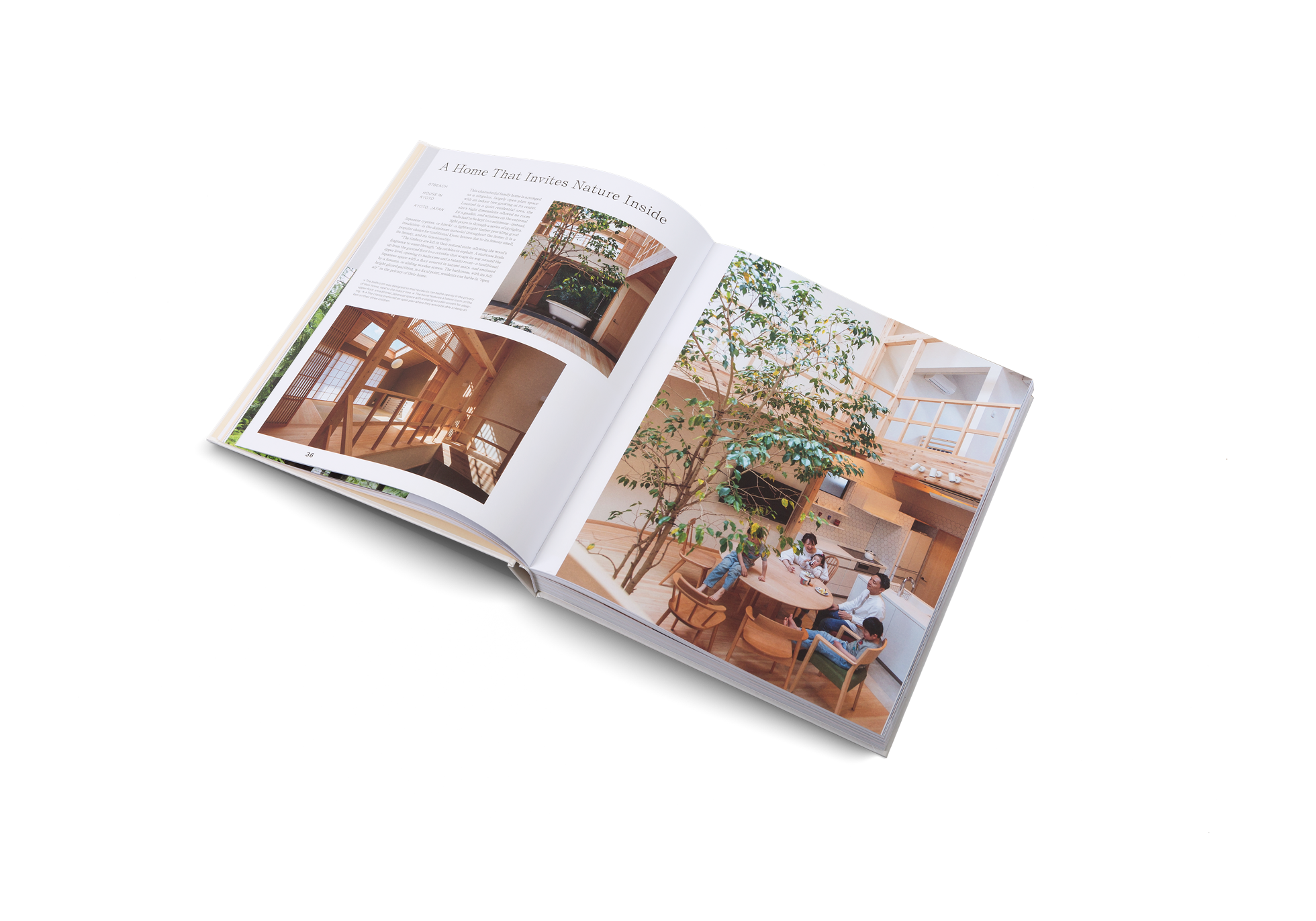 This wooden house invites Nature inside.