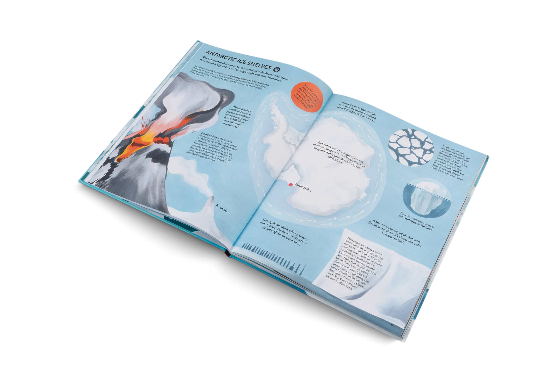 Discover the Antarctic ice shelves in Penguins and Polar Bears by Little Gestalten