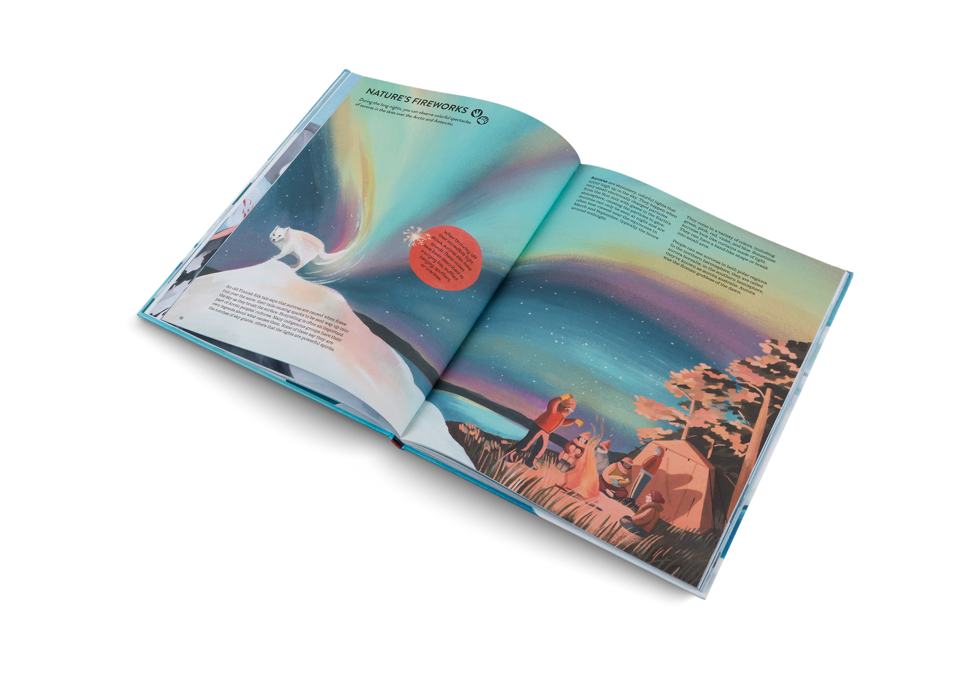During the long nights, you can observe colorful spectacles of auroras in the skies over the Arctic and Antarctic. Find out more in Penguins and Polar Bears by Little Gestalten