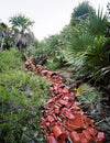 Plastic garbage in a tropical forest in Photoviz