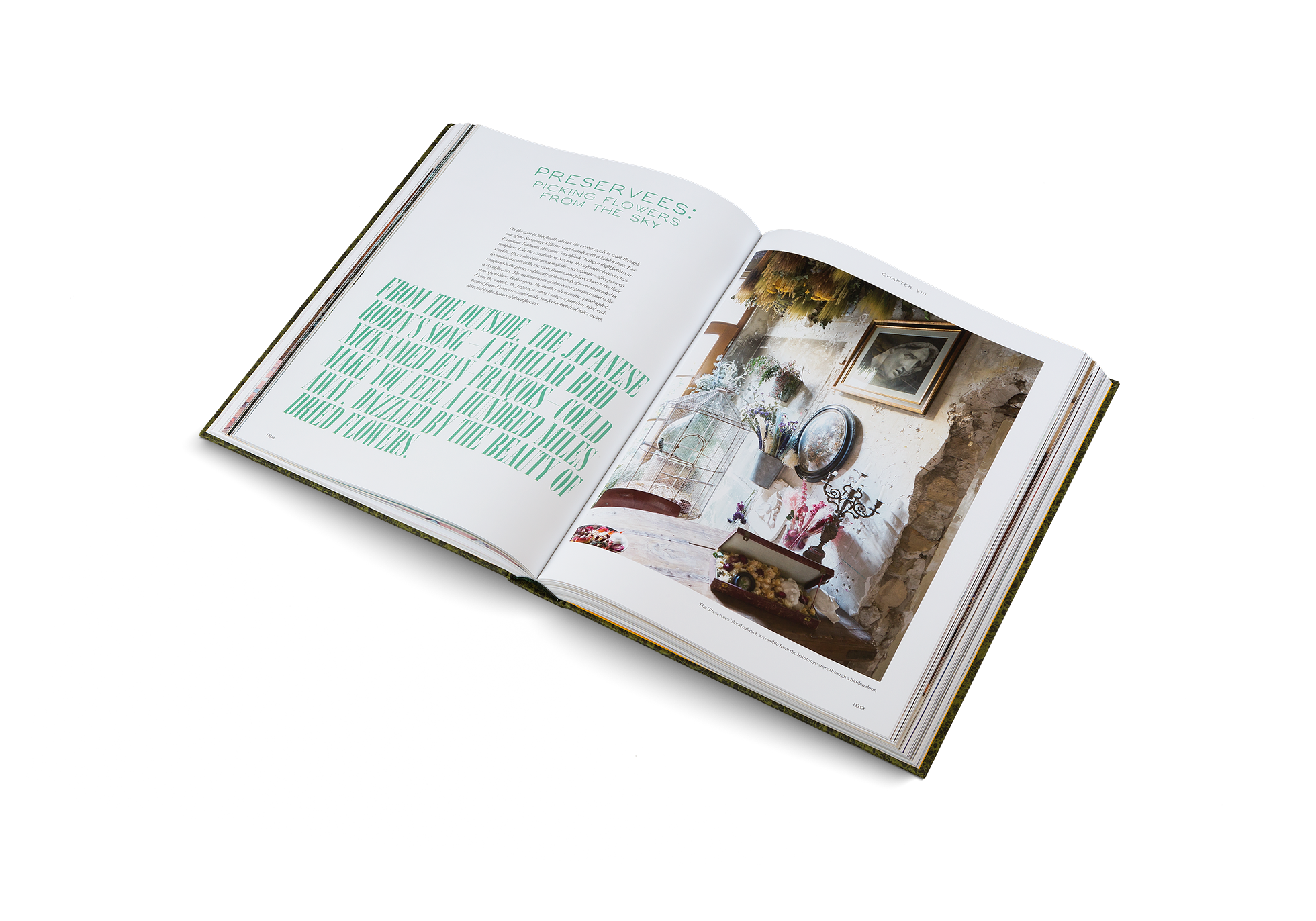 On the way to this floral cabinet, the visitor needs to walk through one of the Saintonge Officine’s cupboards with a hidden door. For Ramdane Touhami, this room ‘‘en enfilade’’ brings a slight fantasy atmosphere. Like the wardrobe in Narnia, it is a frontier between two worlds. After a short journey, a majestic—yet intimate—office presents its outdated walls to the eye: casts, frames, and plaster busts bring their company to the preserved beauty of thousands of herbs suspended in a sky of flowers