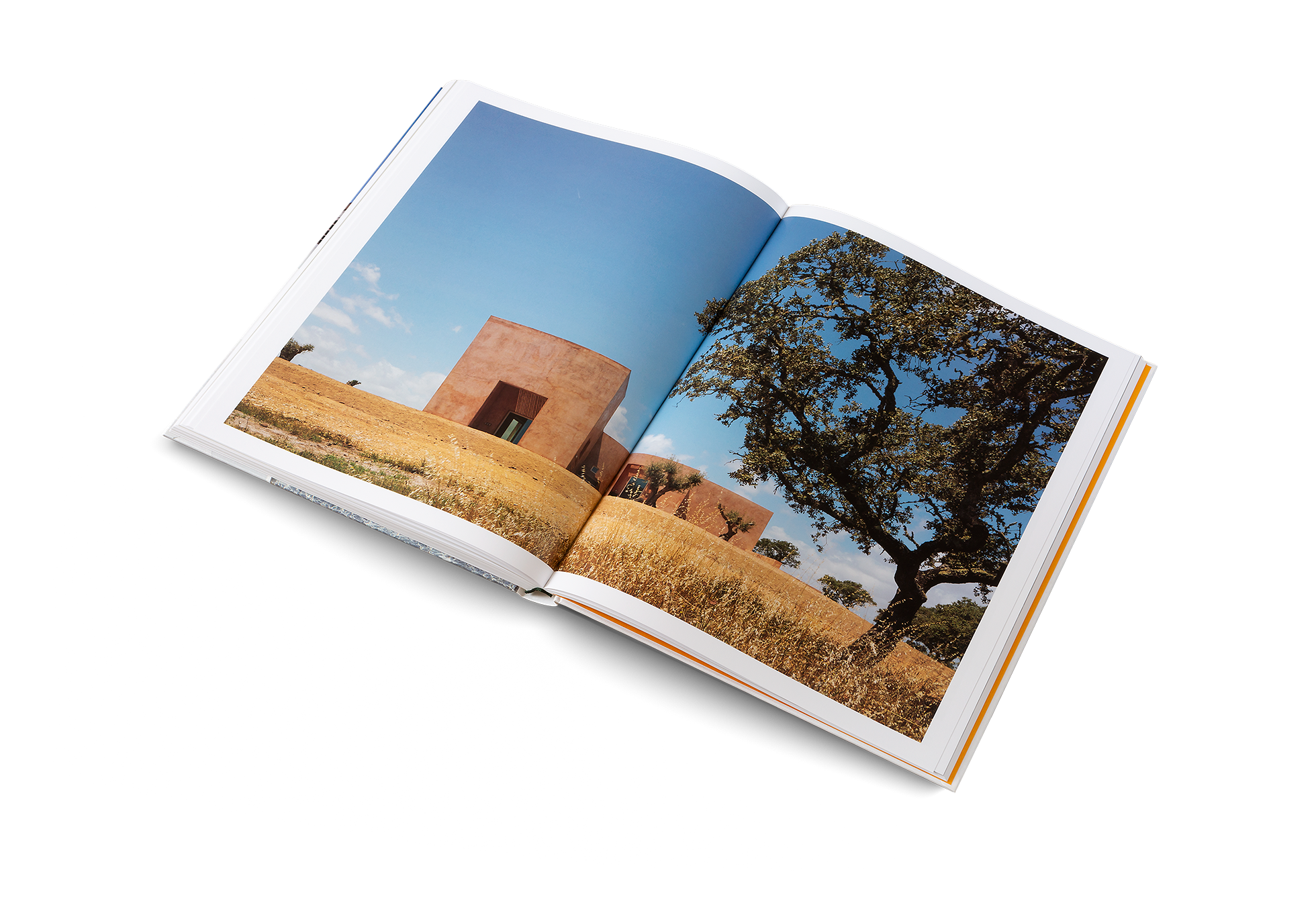 Recalling irrigation tanks that are common in the south of Portugal, the pool of this Mediterranean house was conceived as a “resonance box” by the architects, reflecting the landscape as it changes throughout the day.