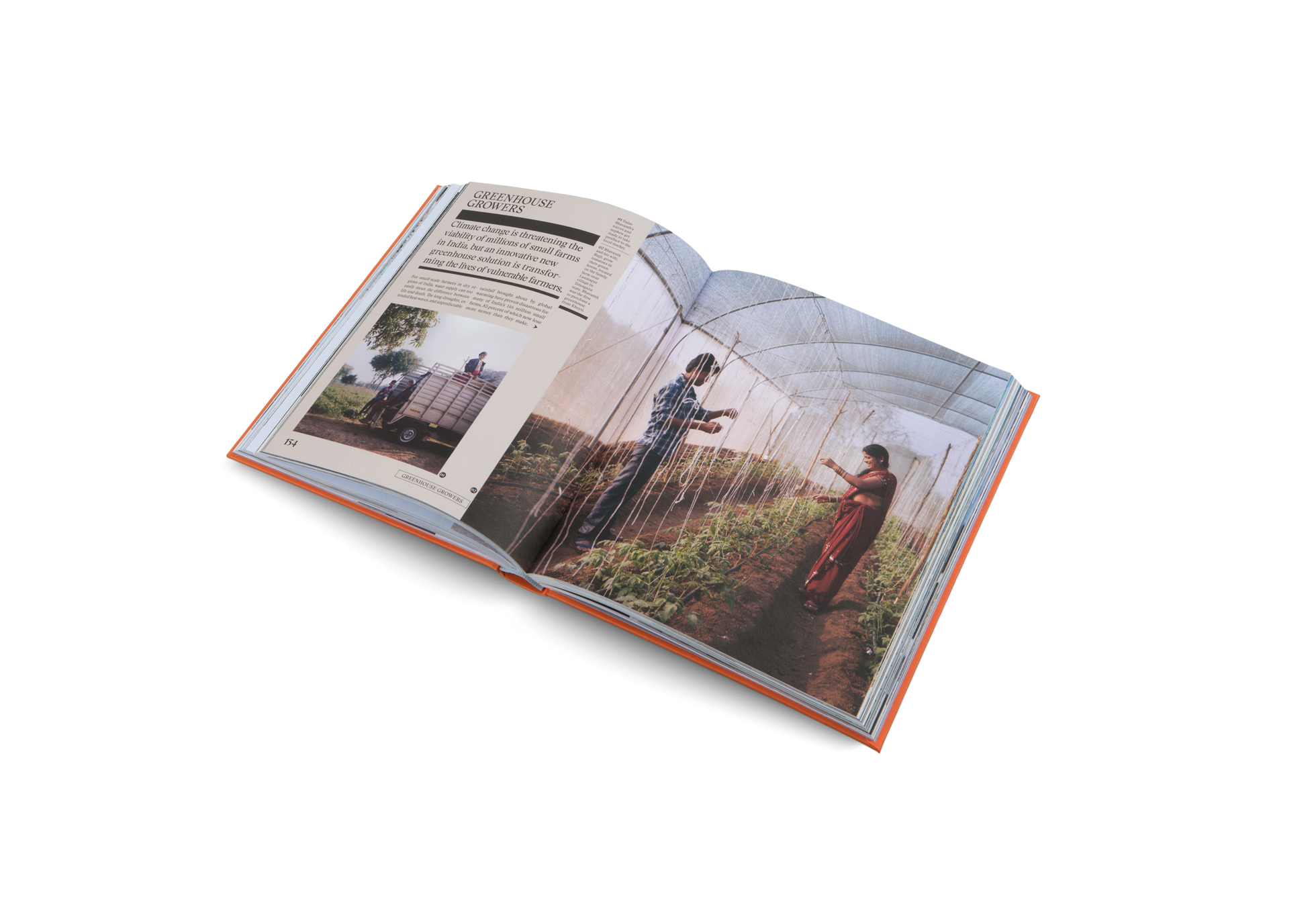 Greenhouse Growers in The New Traditional