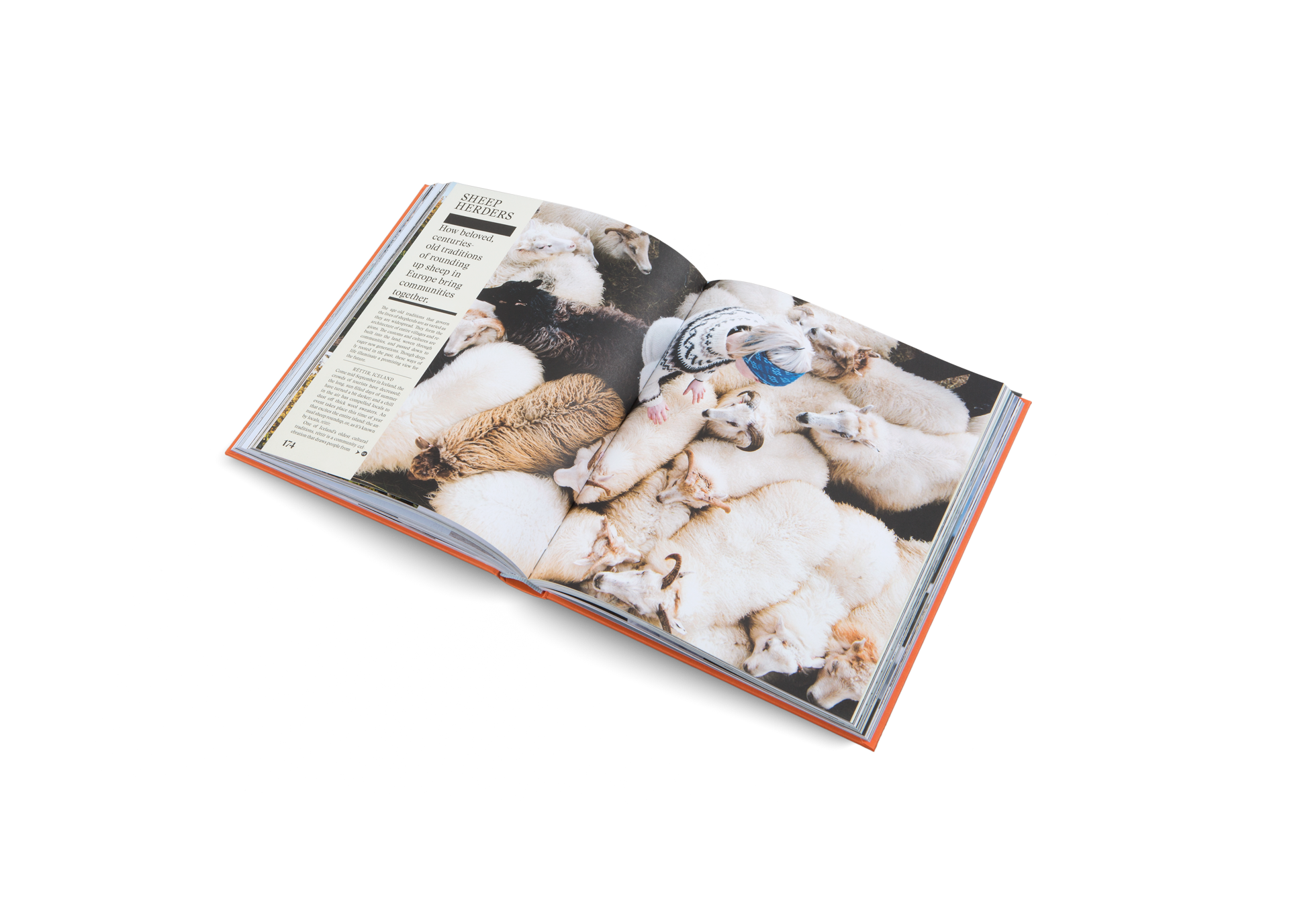 Sheep Herders in The New Traditional