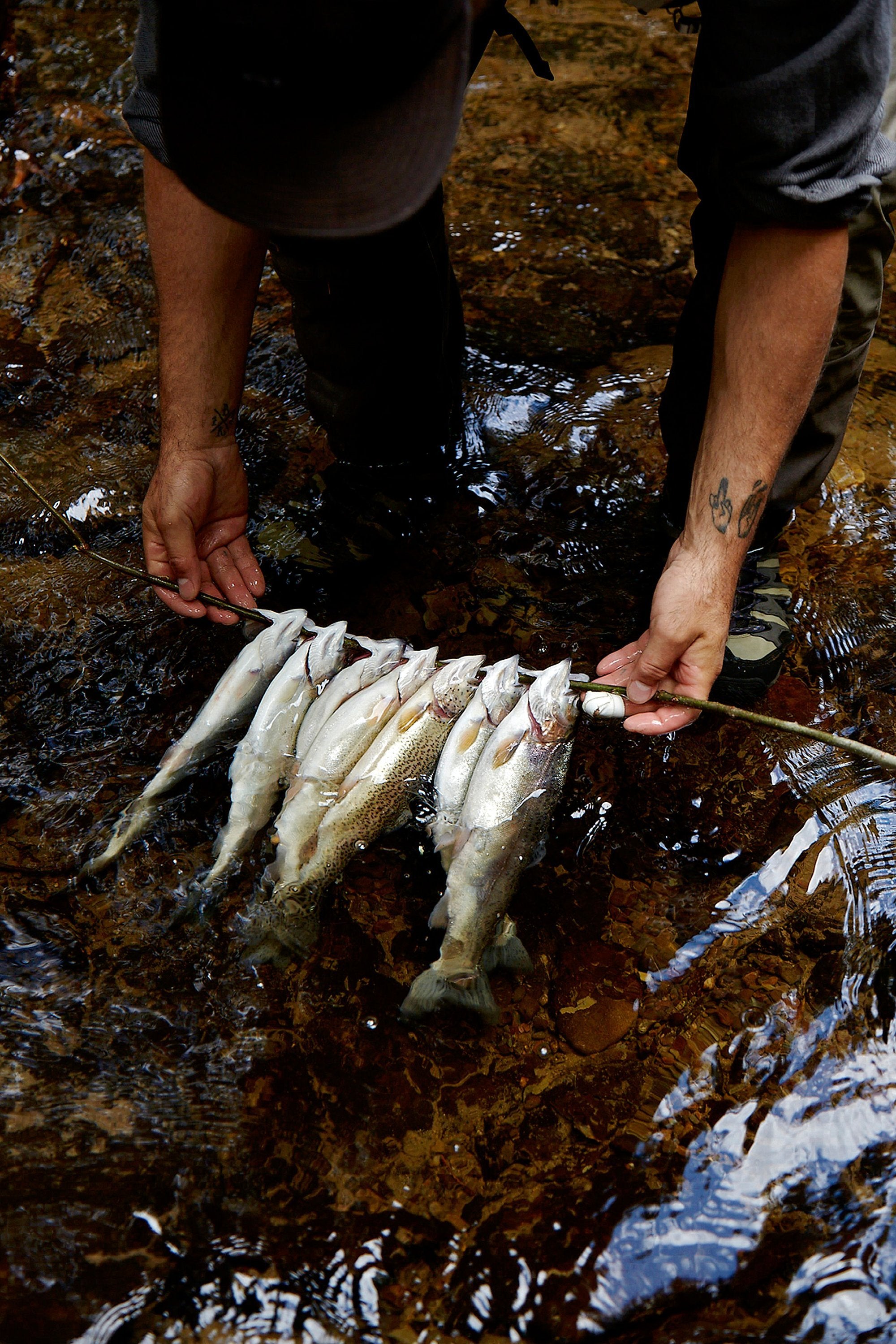 Fishing in a river with detailed fly fishing techniques in The Fly Fisher
