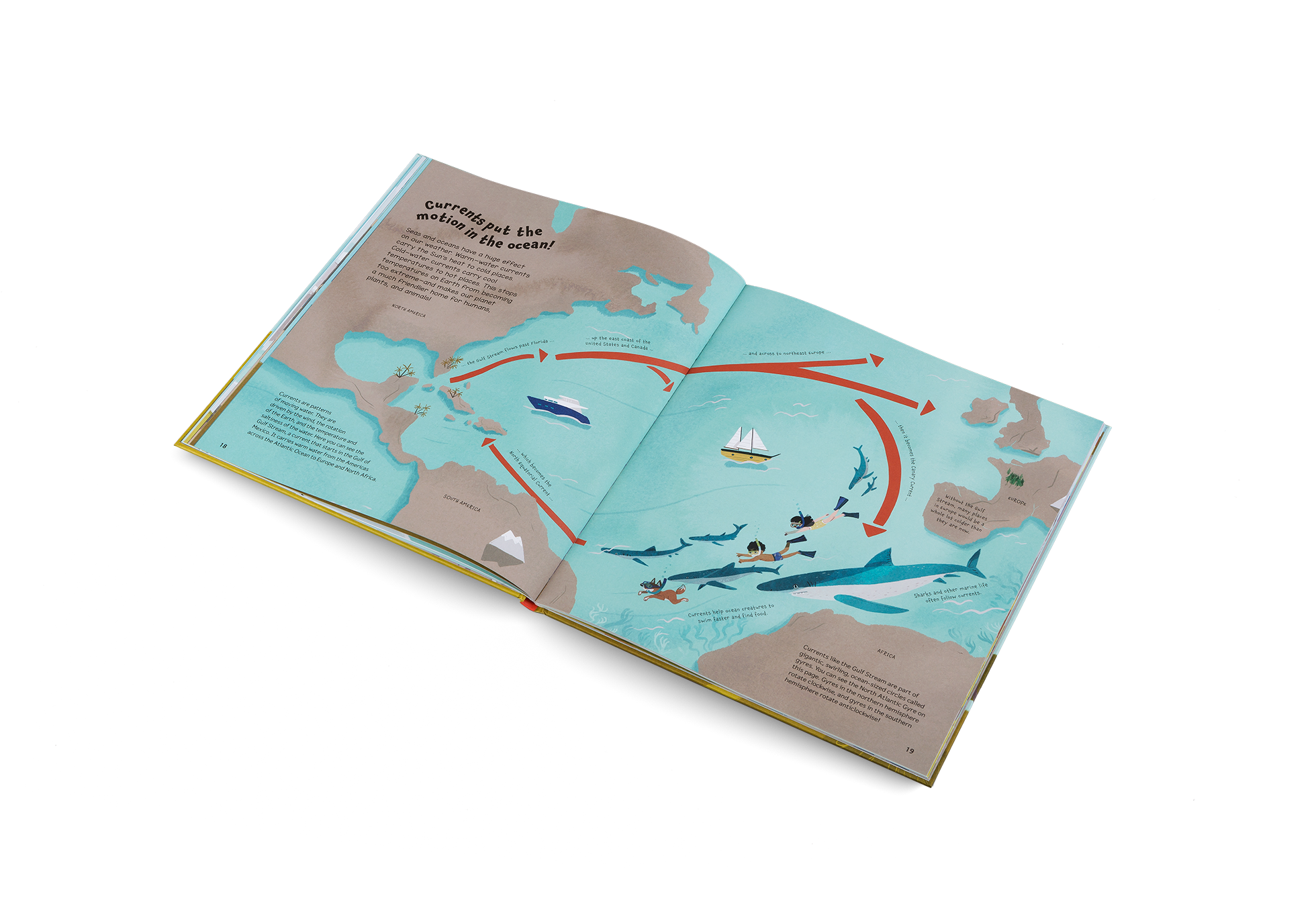 Seas and oceans have a huge effect on our weather. Warm—water currents carry the Sun’s heat to cold places. Cold—water currents carry cool temperatures to hot places. This stops temperatures on Earth from becoming too extreme—and makes our planet a much friendlier home for humans, plants, and animals! Find out more in Whatever the Weather by Little Gestalten