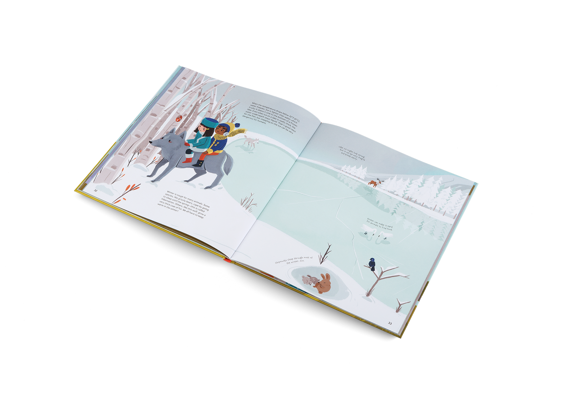 Winter is tough for many animals. Some species, like grizzly bears, cope by going to sleep until the spring—this is called hibernation. Others, like this wolf, grow a very thick coat of fur. We all have to keep warm in the winter! Whatever the Weather by Little Gestalten tells you all about this.