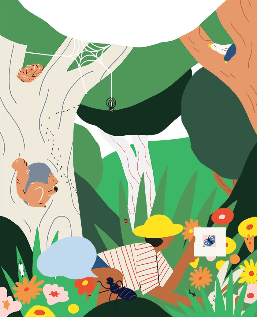 Build your own window camera with Let’s Play Outdoors!