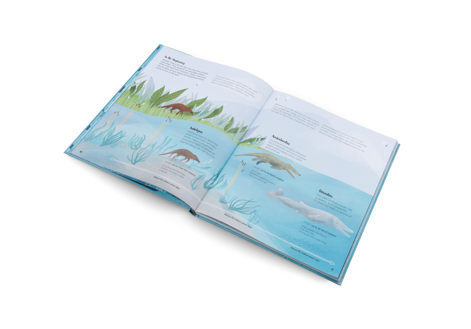 the evolution of marine mammals