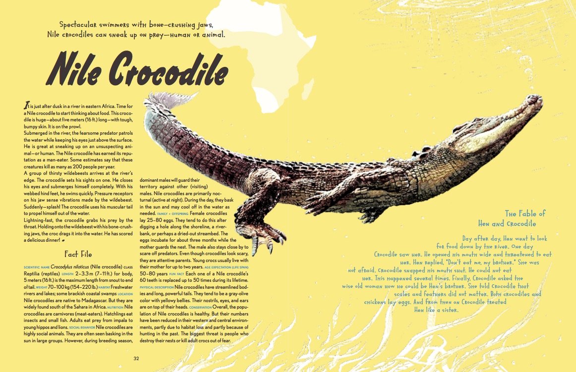 Animal Allstars 978-3-89955-782-4